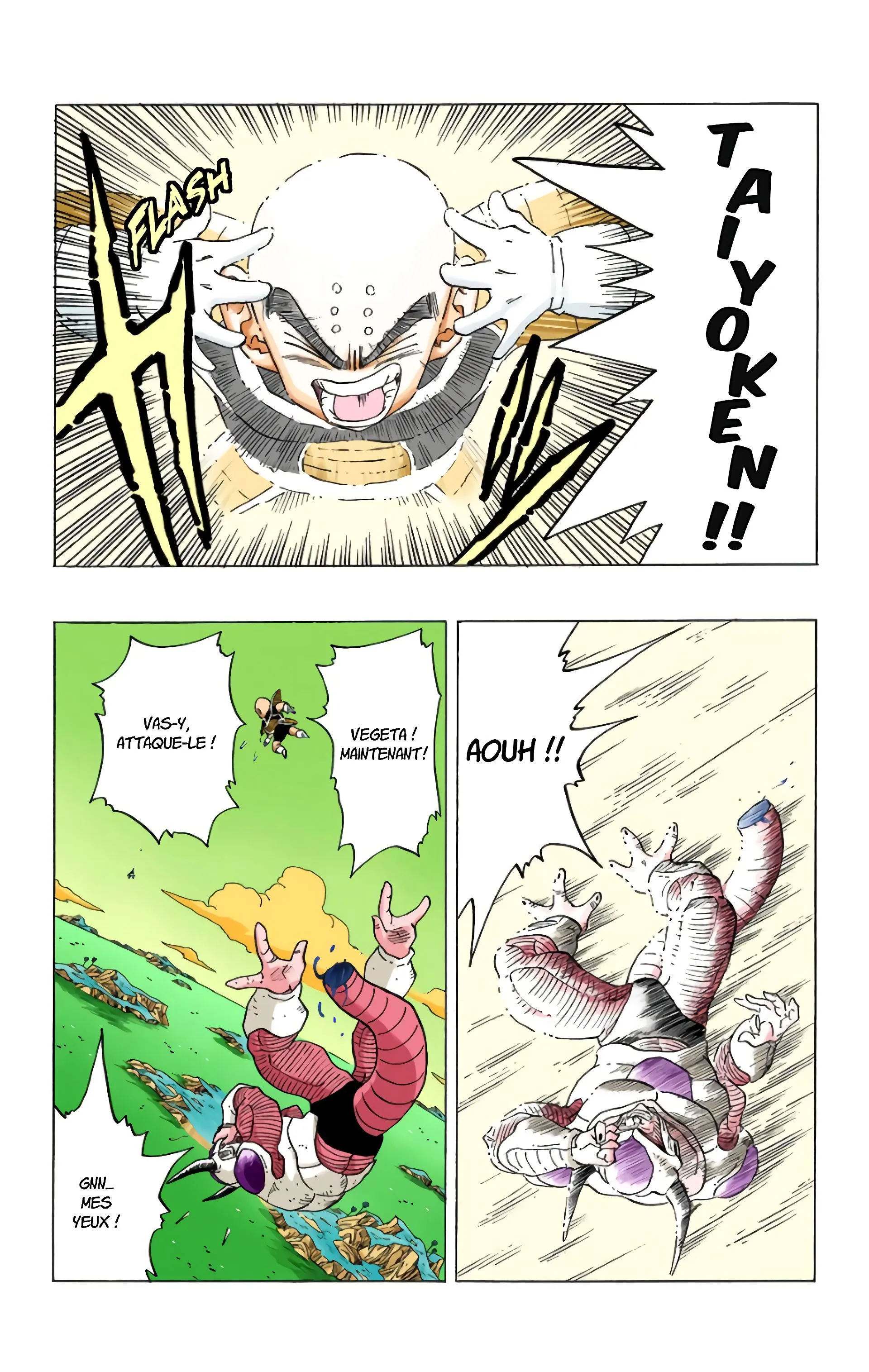 Read Dragon Ball FR Manga Online