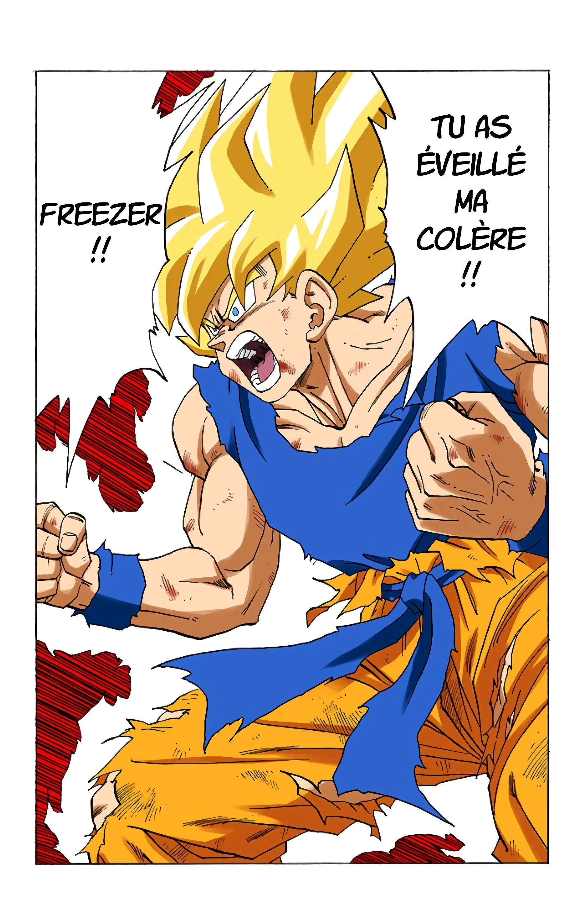 Read Dragon Ball FR Manga Online