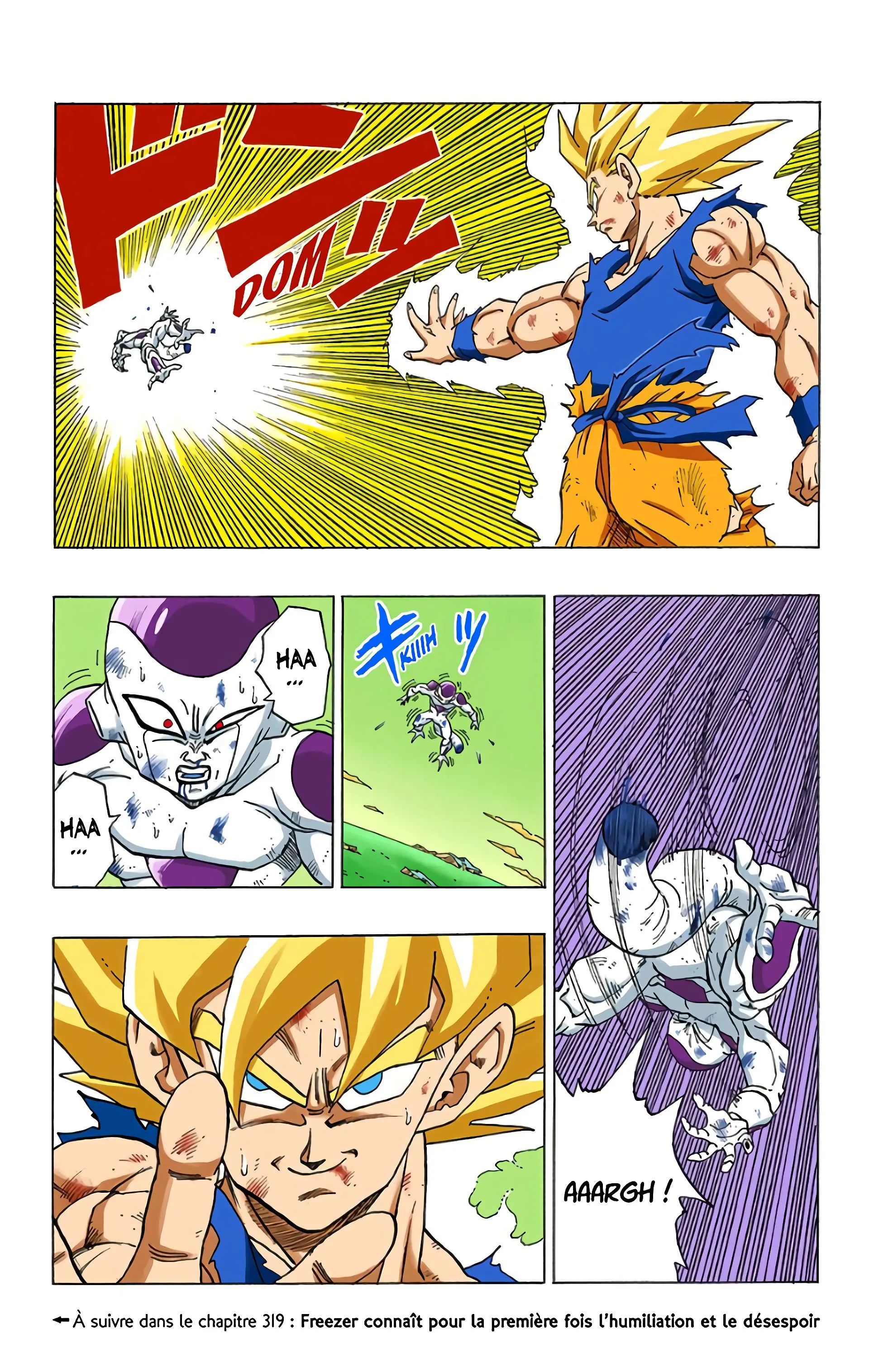 Read Dragon Ball FR Manga Online