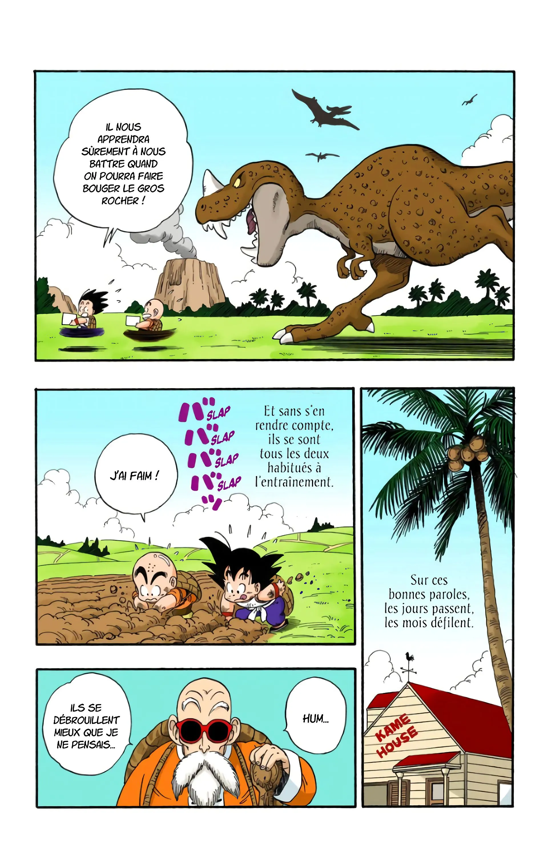Read Dragon Ball FR Manga Online