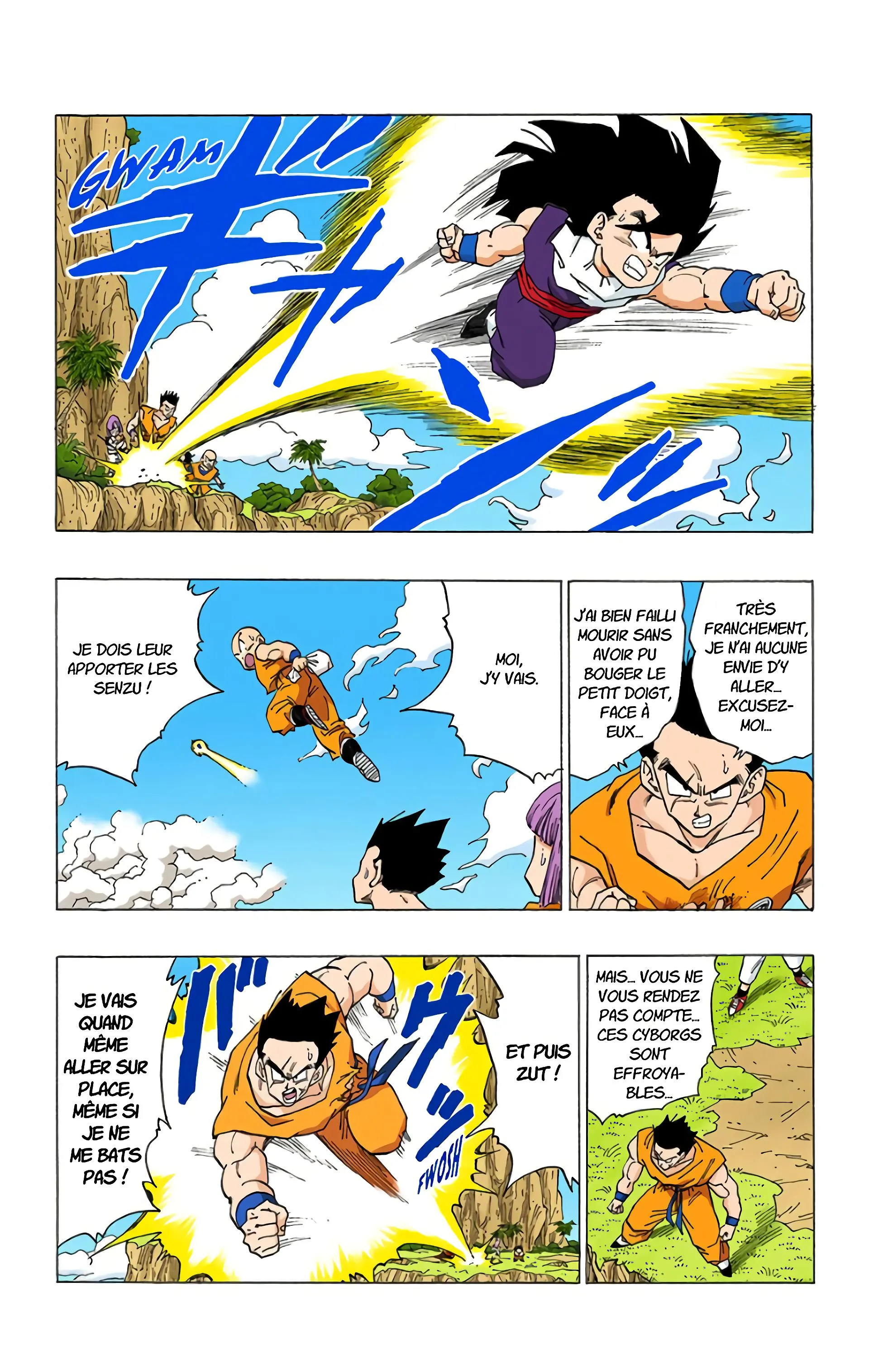 Read Dragon Ball FR Manga Online