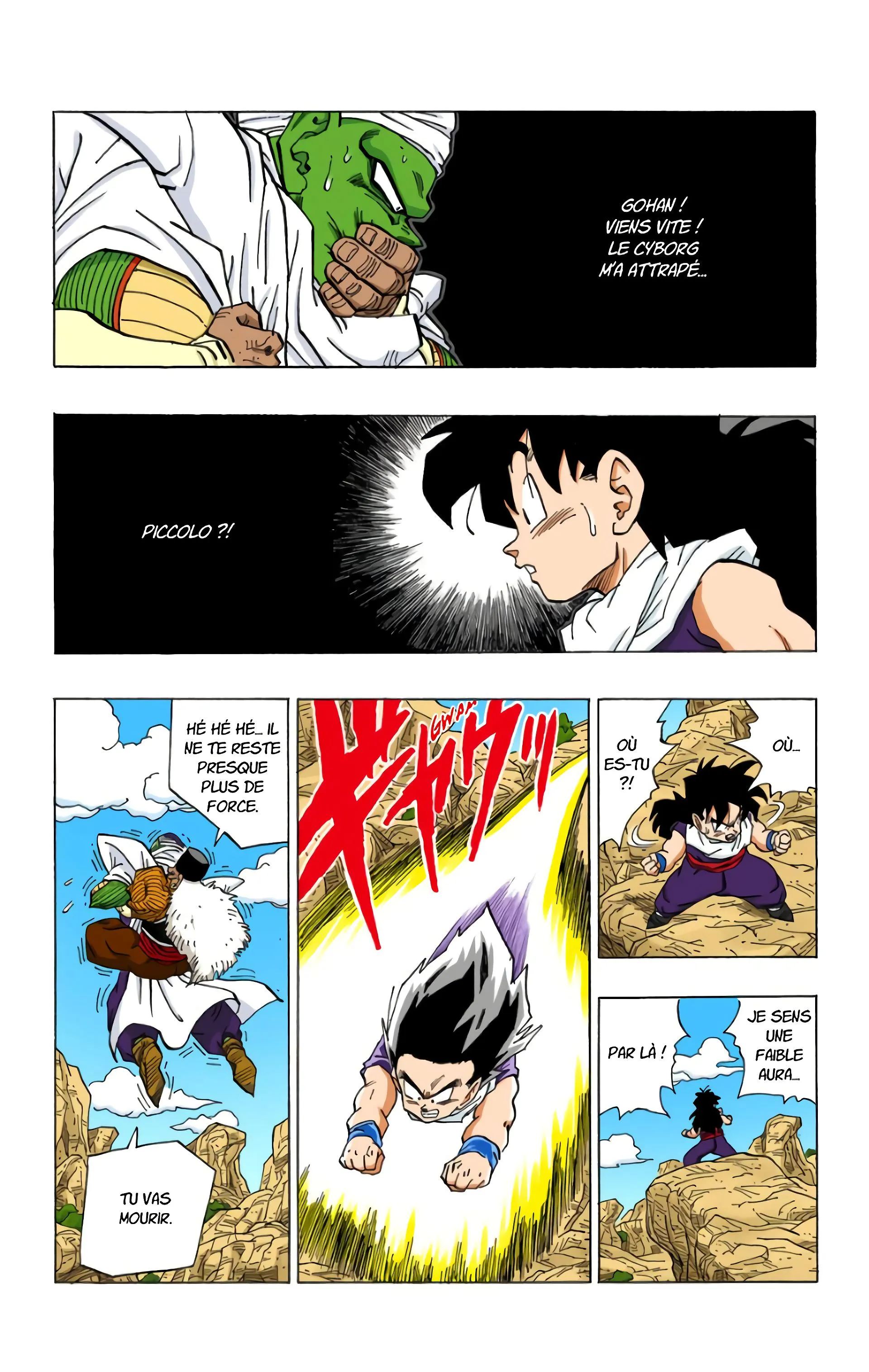 Read Dragon Ball FR Manga Online