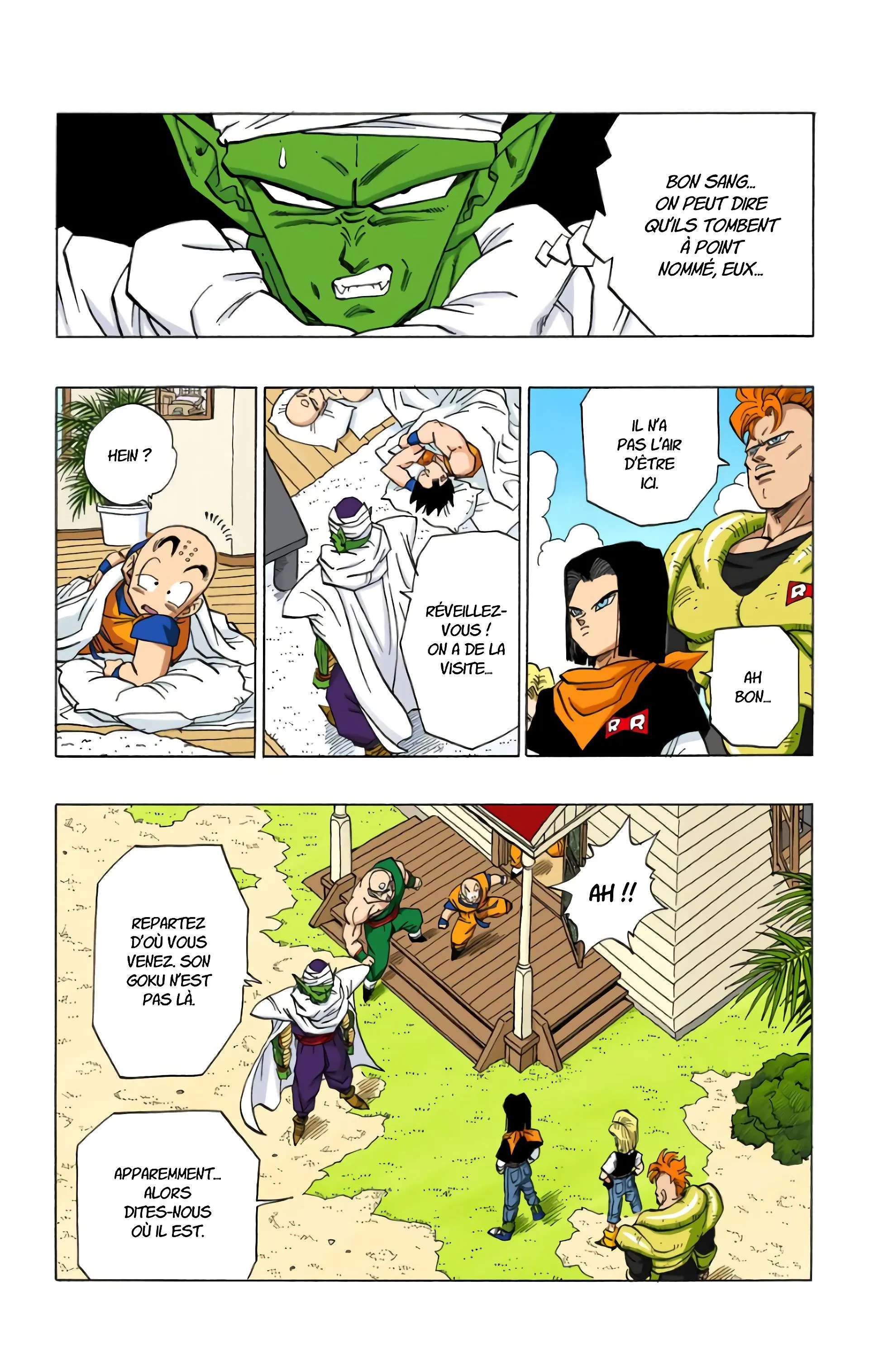 Read Dragon Ball FR Manga Online