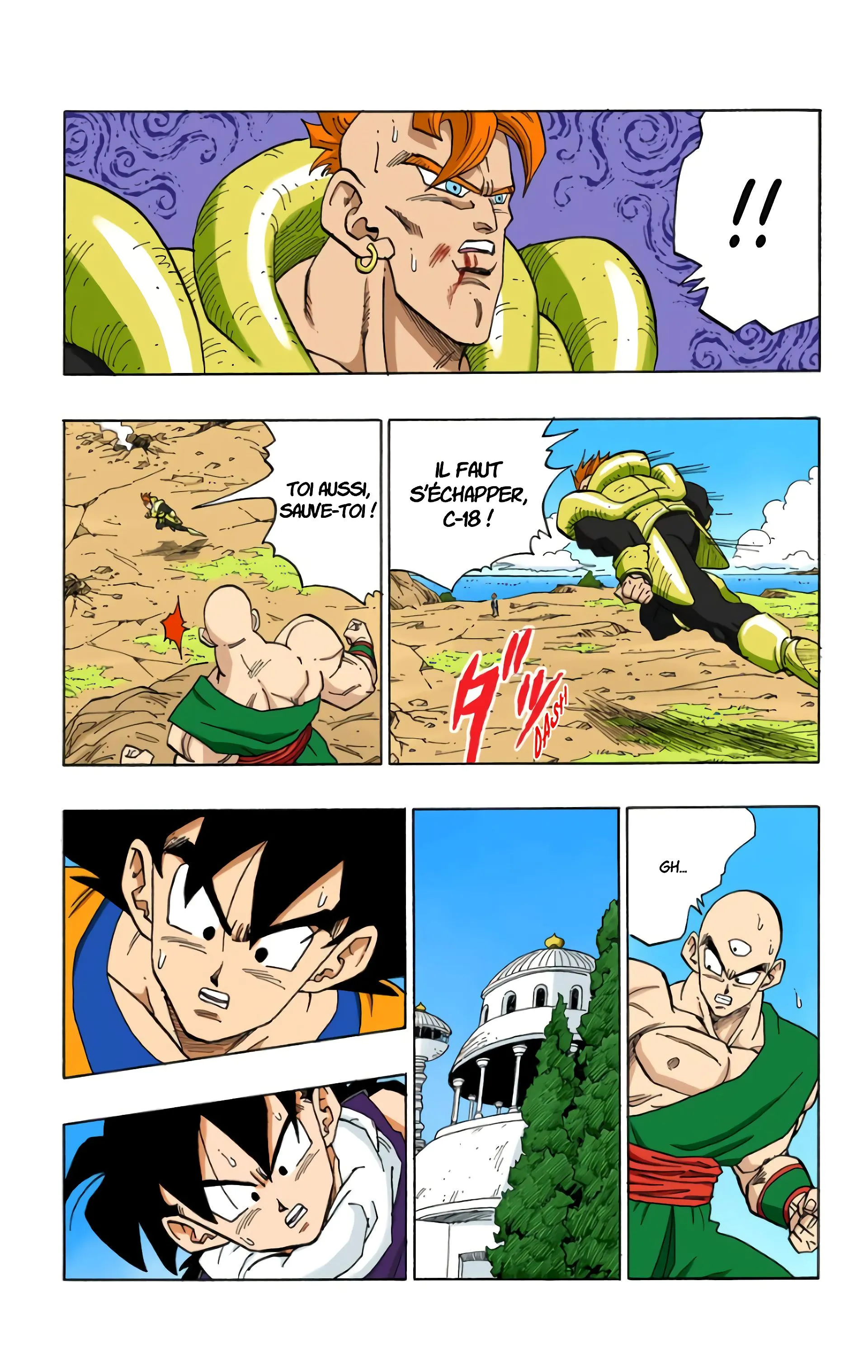 Read Dragon Ball FR Manga Online