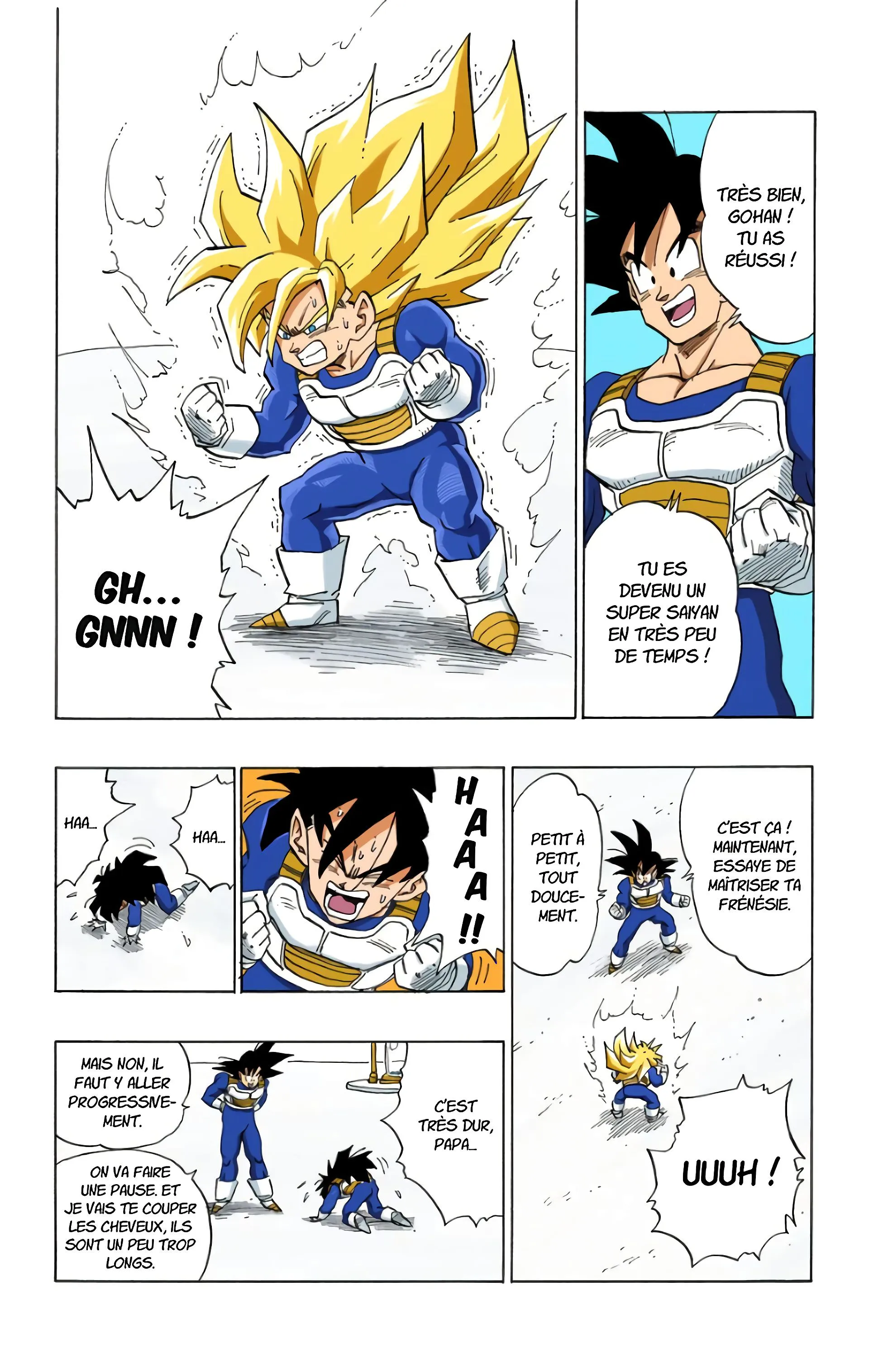Read Dragon Ball FR Manga Online