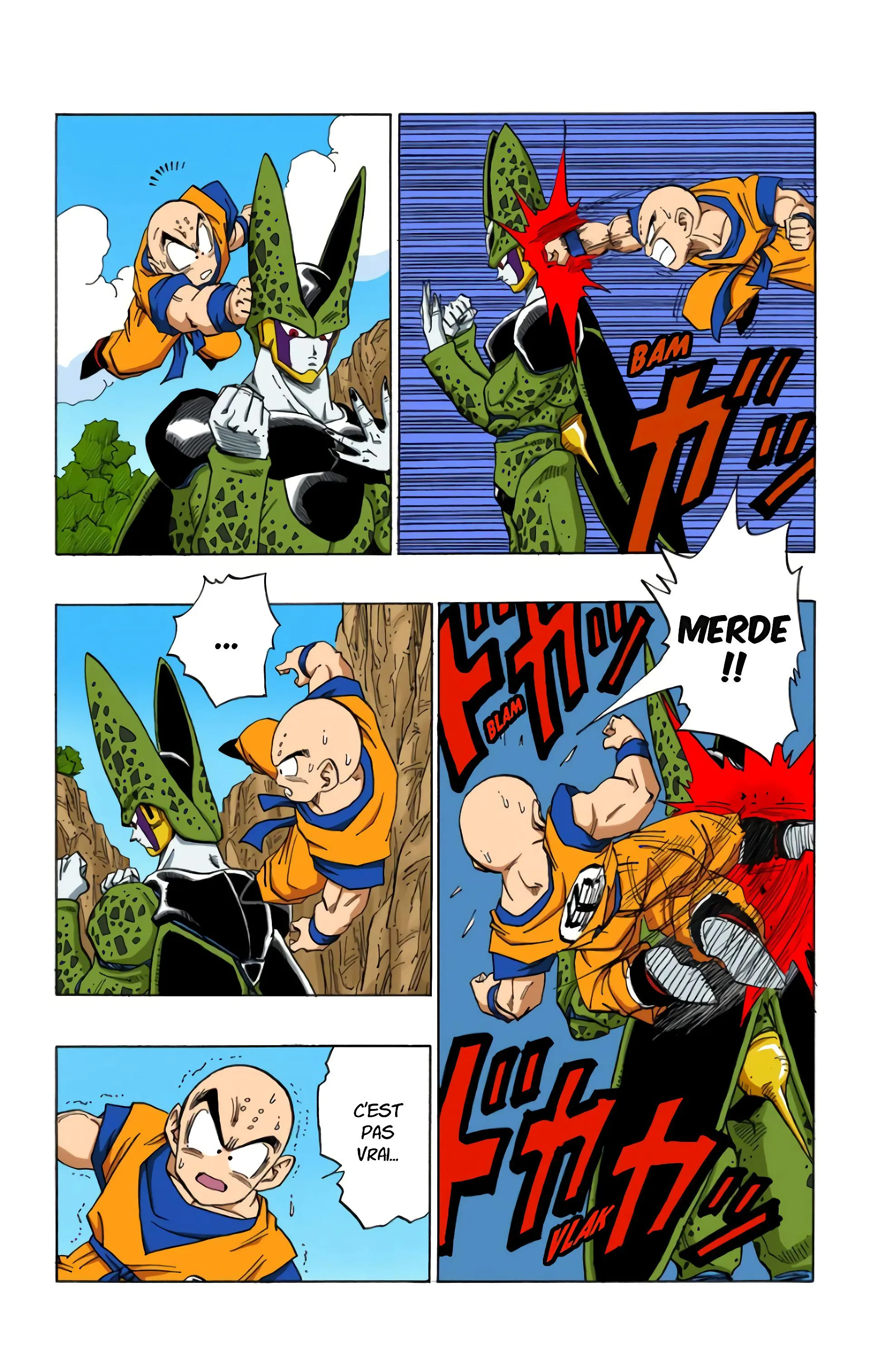 Read Dragon Ball FR Manga Online