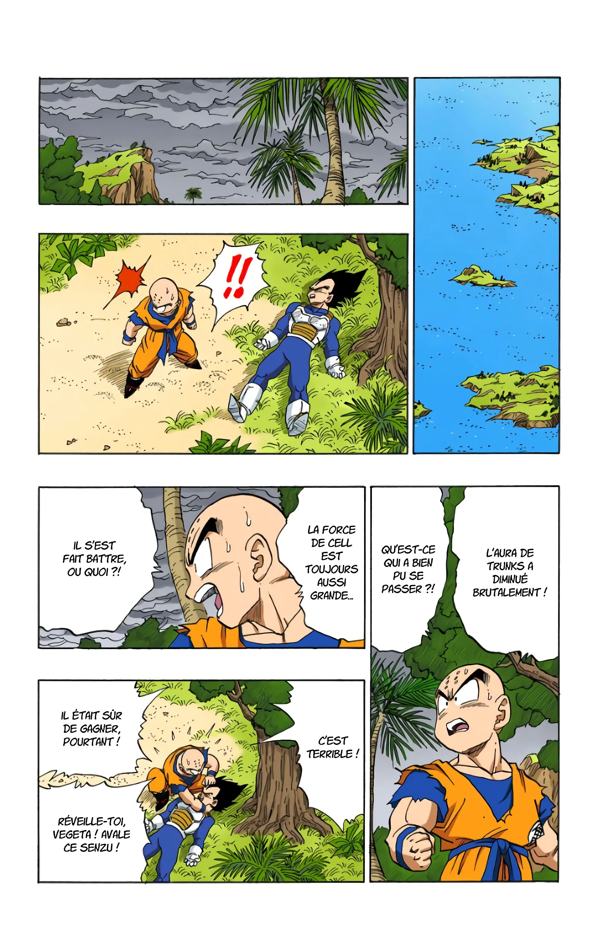 Read Dragon Ball FR Manga Online