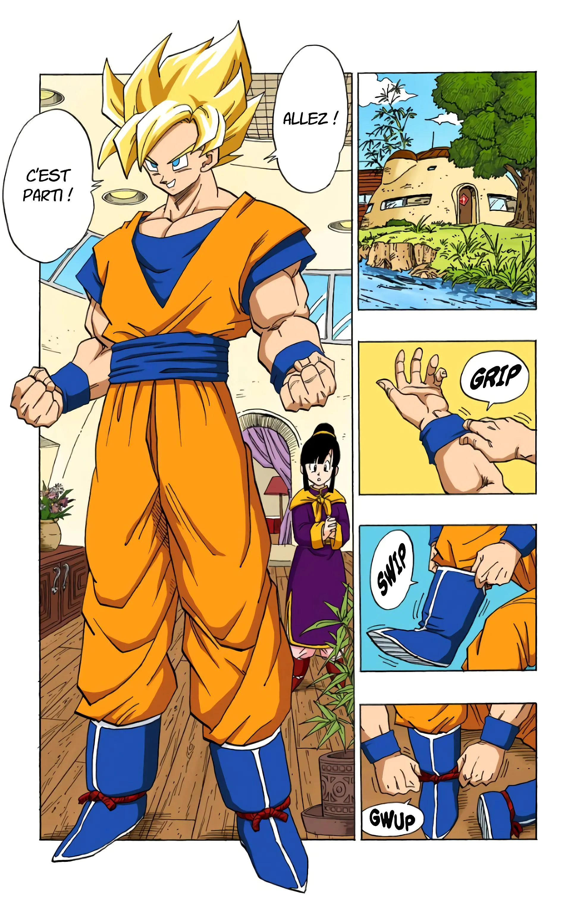 Read Dragon Ball FR Manga Online