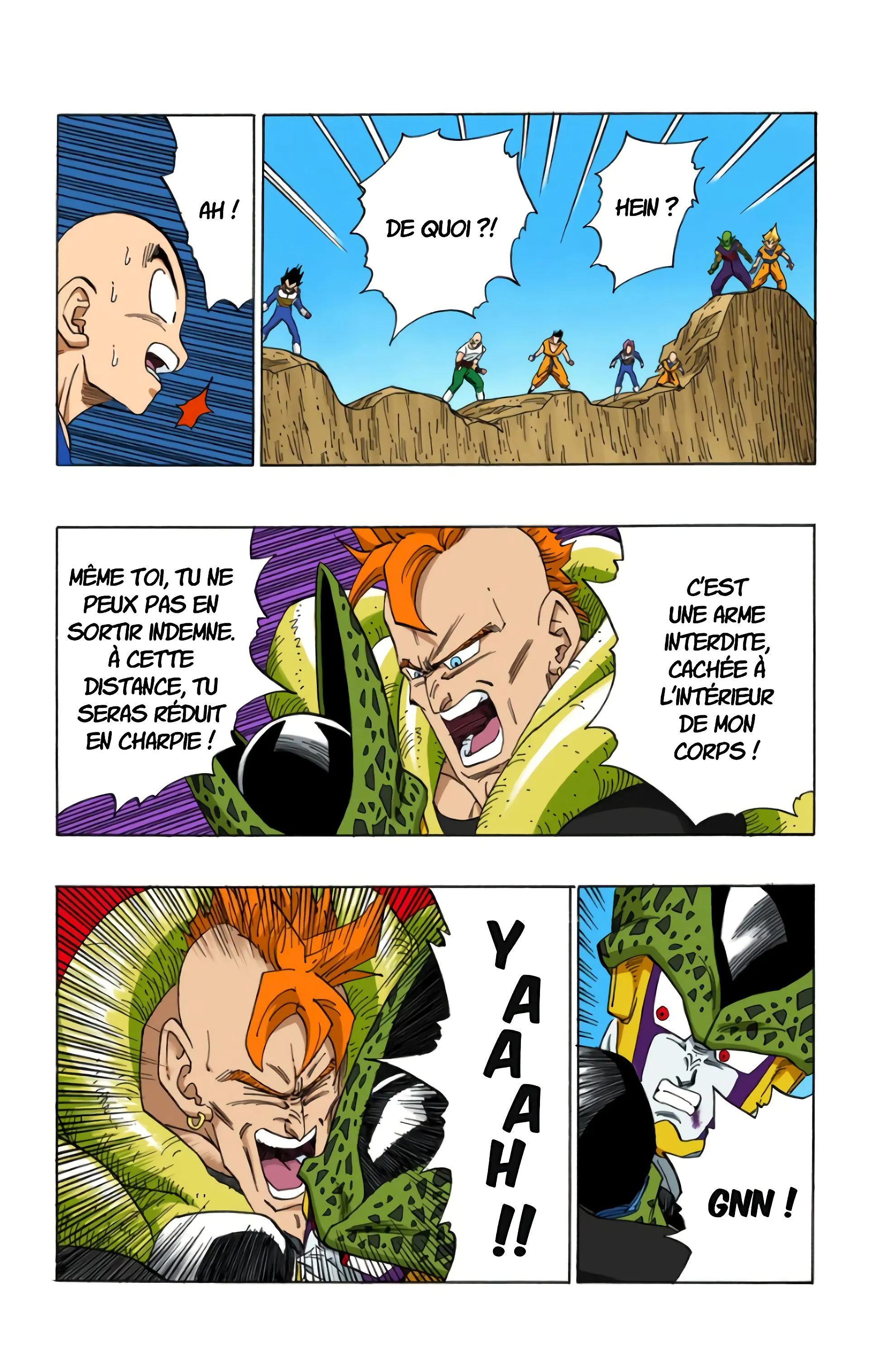 Read Dragon Ball FR Manga Online
