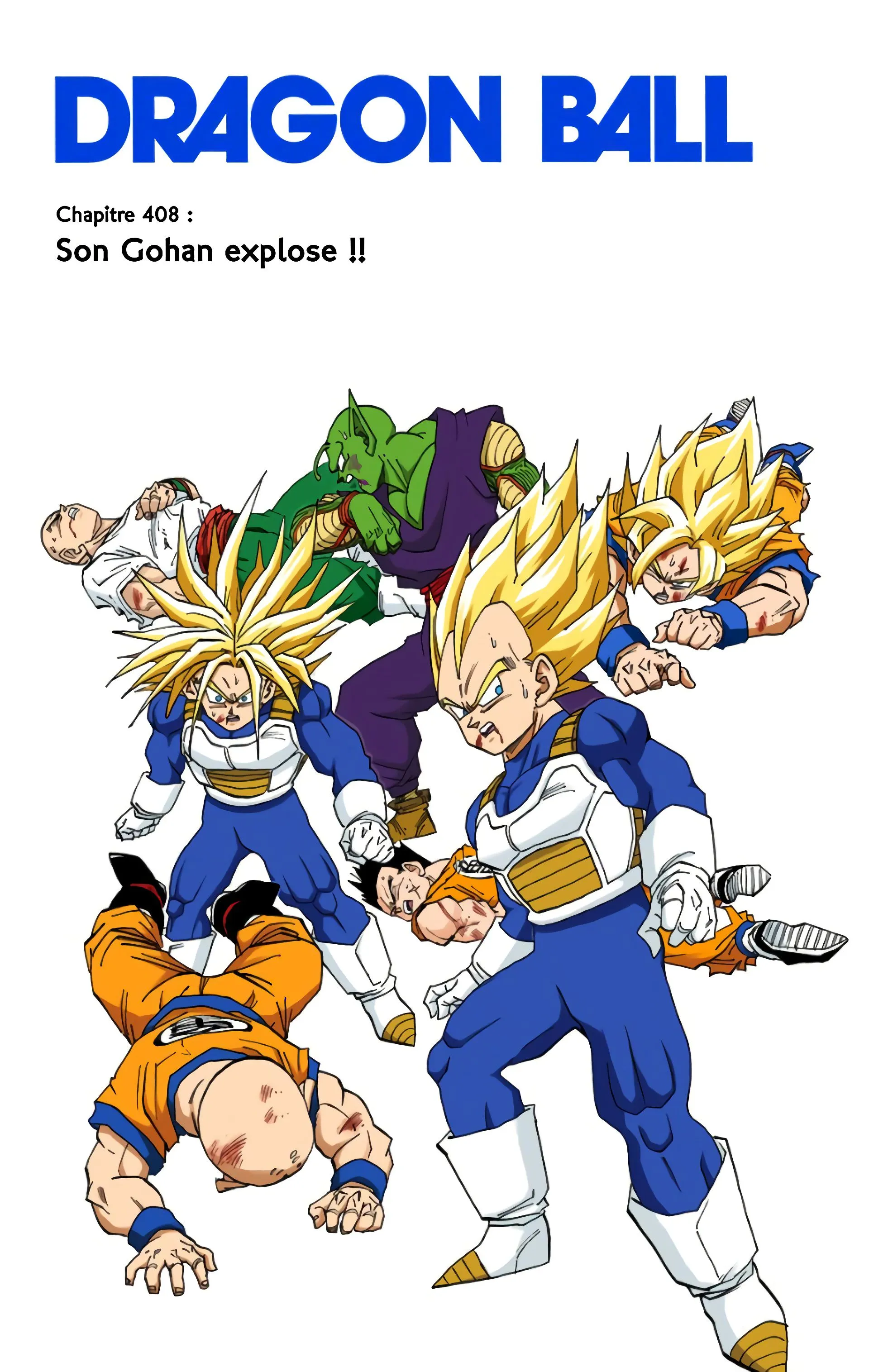 Read Dragon Ball FR Manga Online