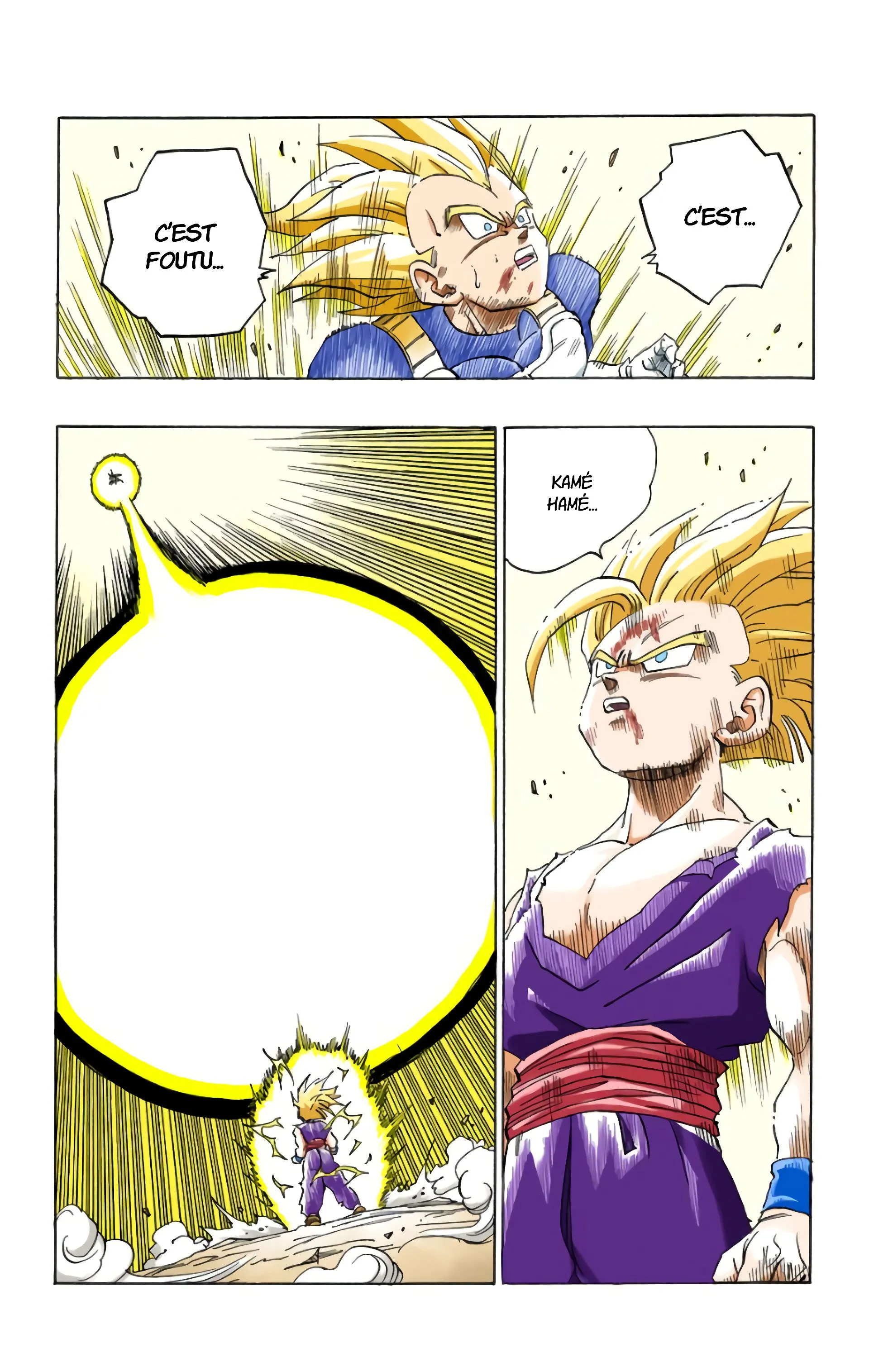 Read Dragon Ball FR Manga Online