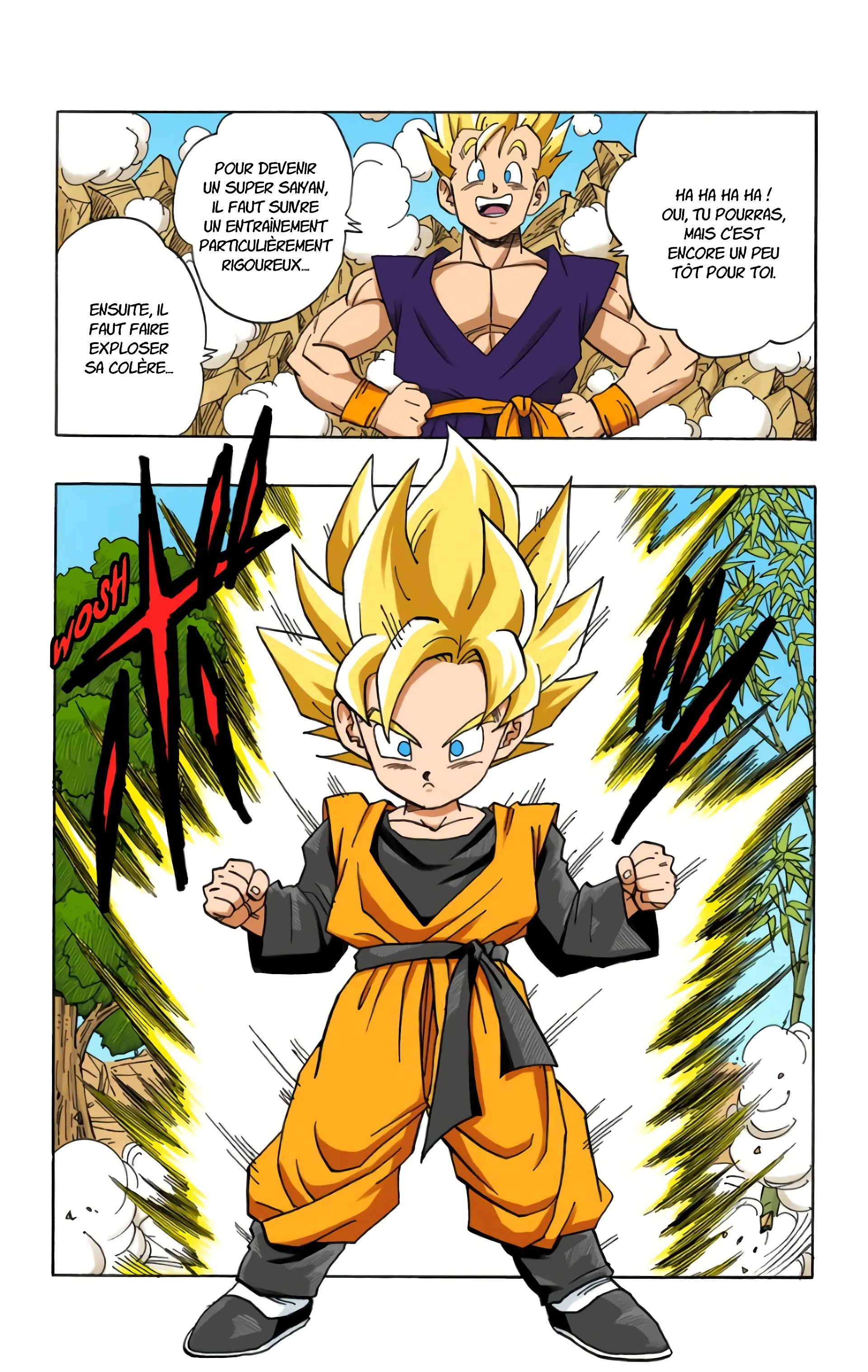 Read Dragon Ball FR Manga Online