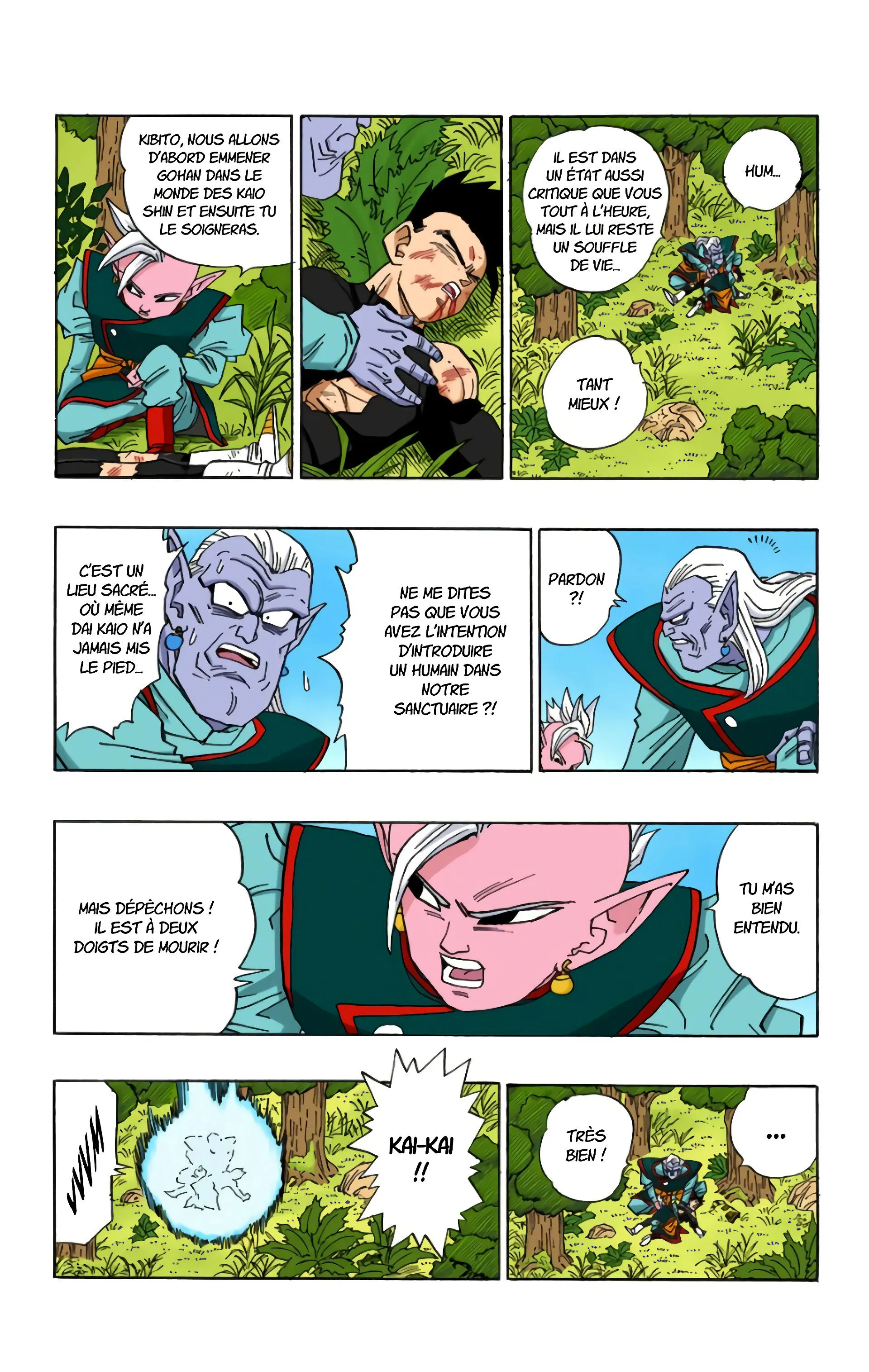 Read Dragon Ball FR Manga Online