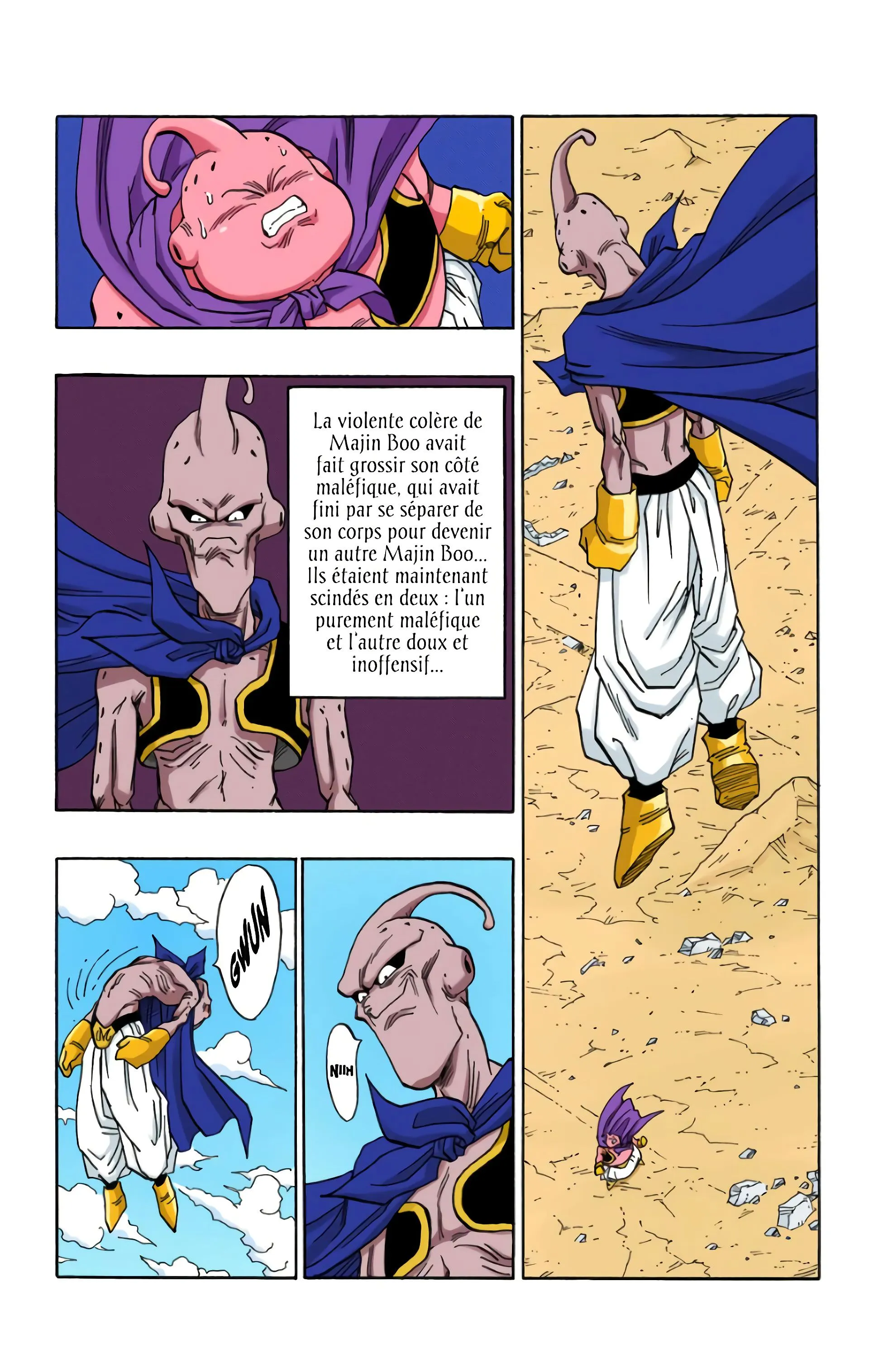 Read Dragon Ball FR Manga Online
