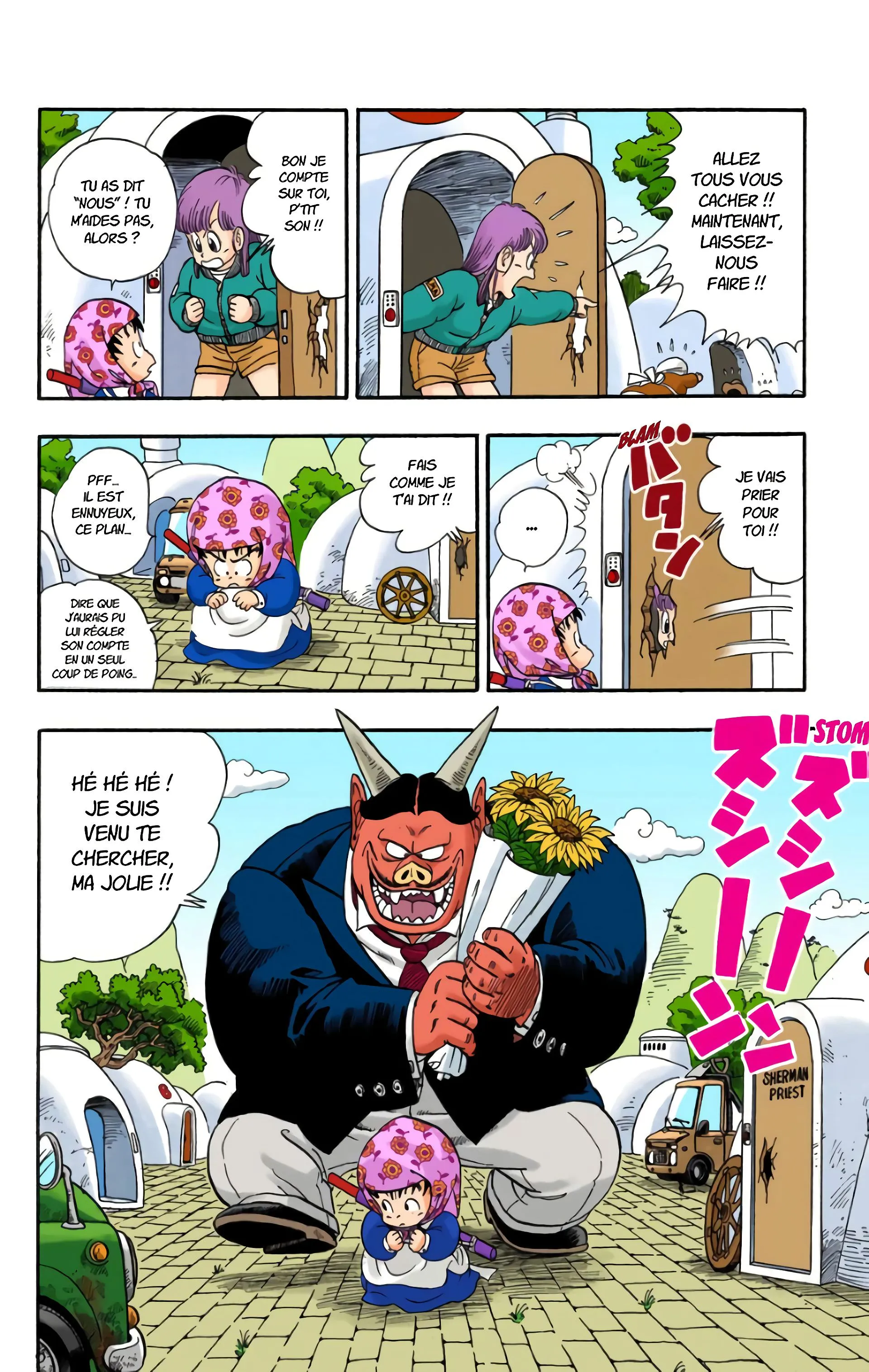 Read Dragon Ball FR Manga Online