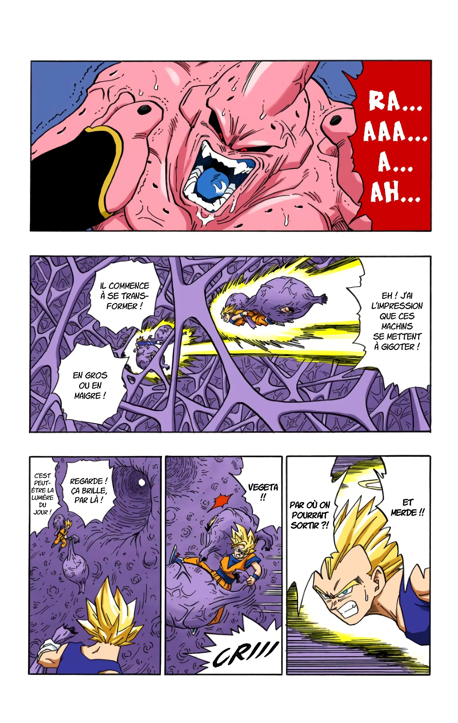 Read Dragon Ball FR Manga Online