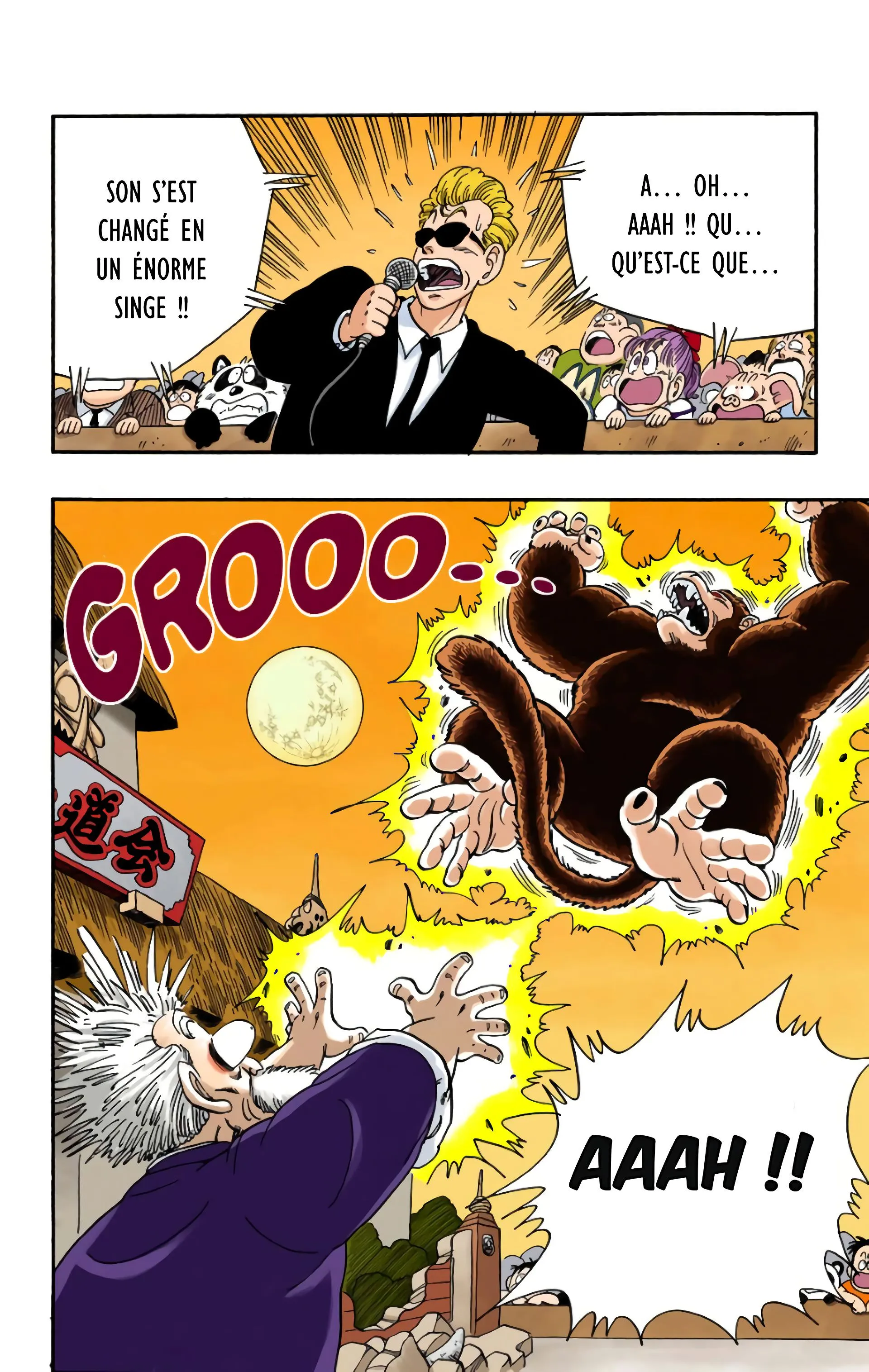 Read Dragon Ball FR Manga Online