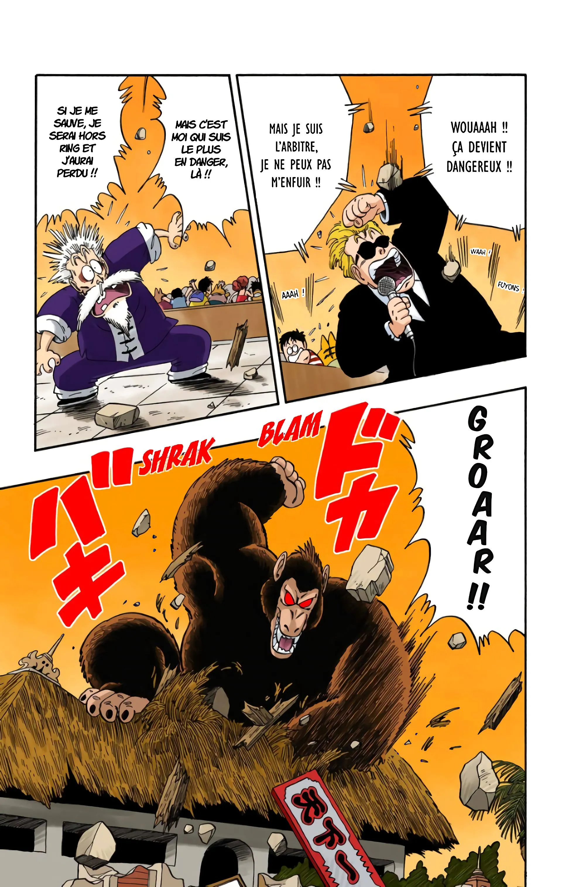 Read Dragon Ball FR Manga Online