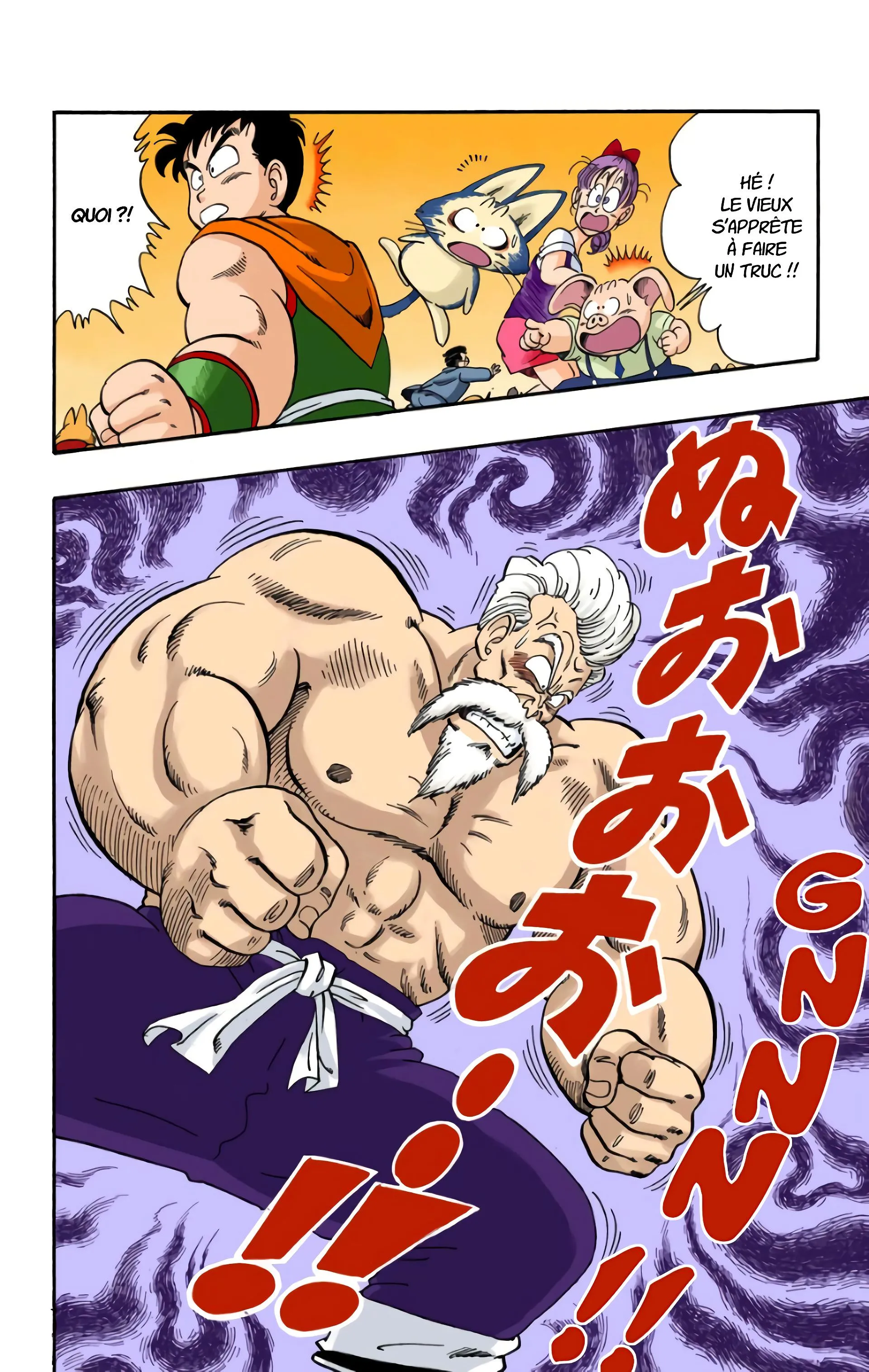 Read Dragon Ball FR Manga Online