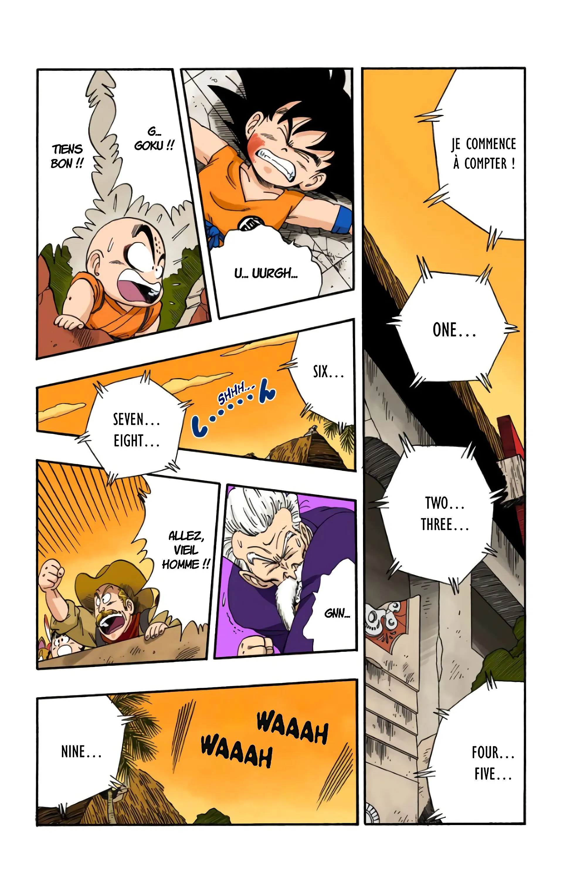 Read Dragon Ball FR Manga Online
