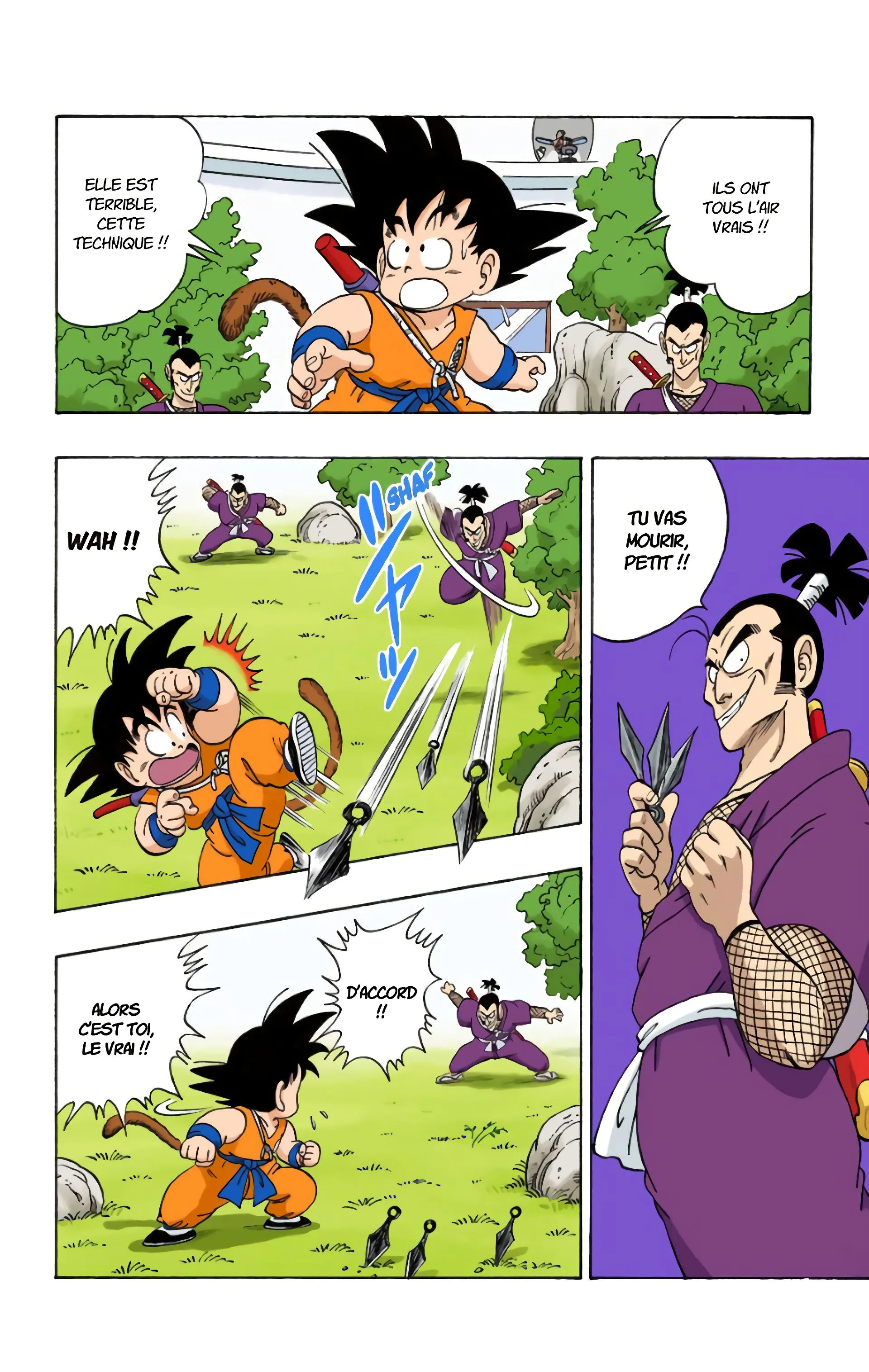 Read Dragon Ball FR Manga Online