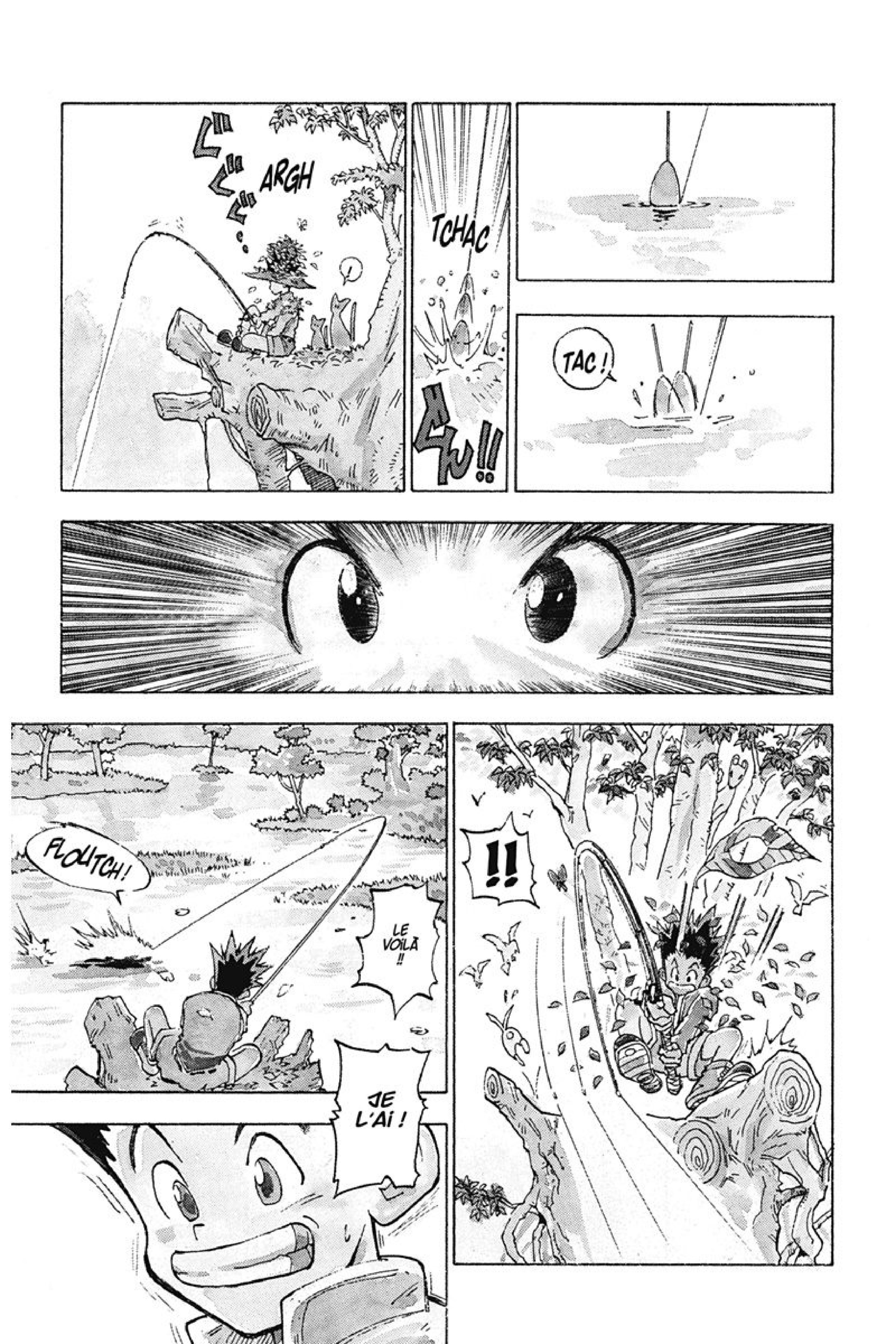 Read Hunter x Hunter FR Manga Online