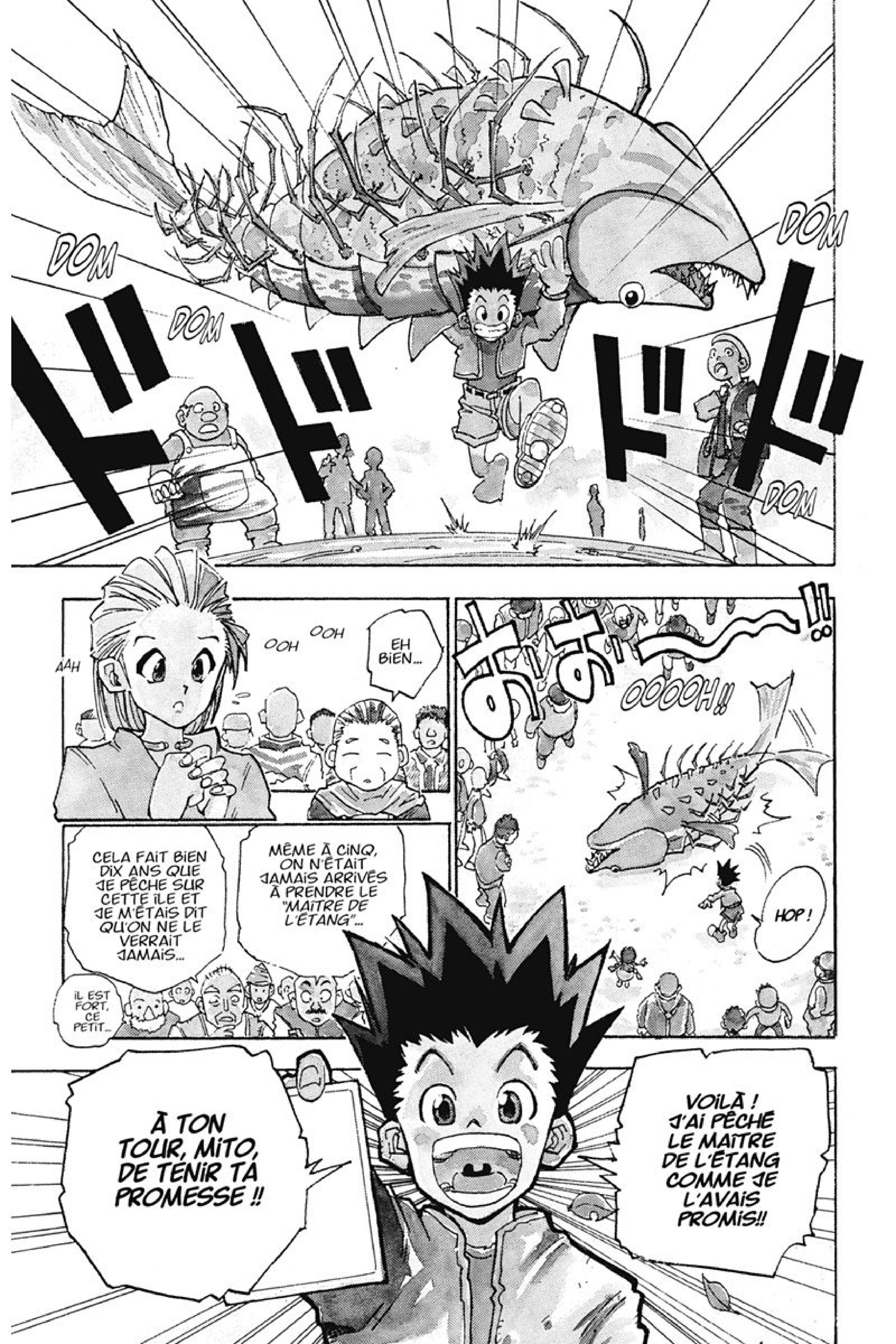 Read Hunter x Hunter FR Manga Online