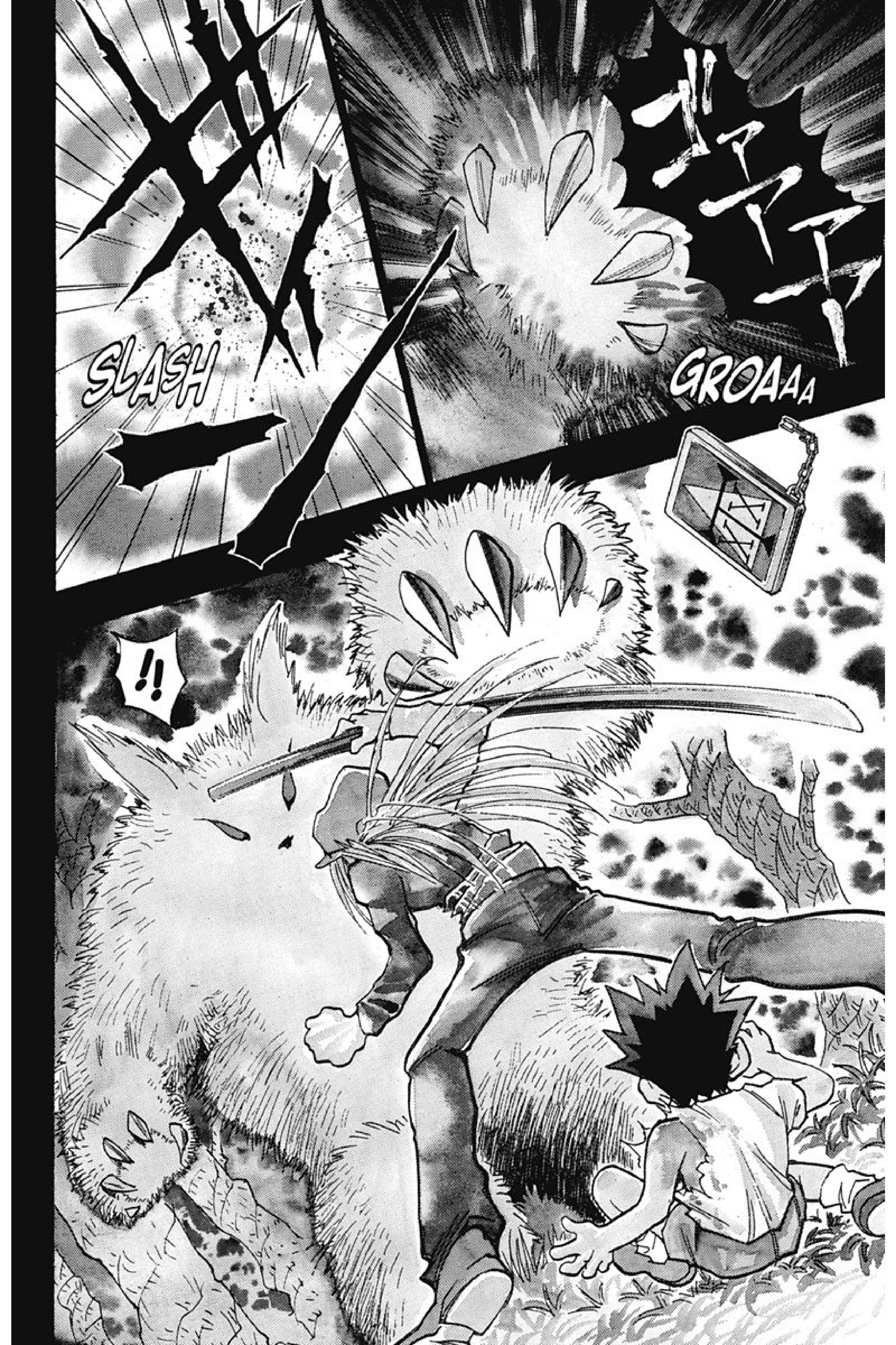 Read Hunter x Hunter FR Manga Online