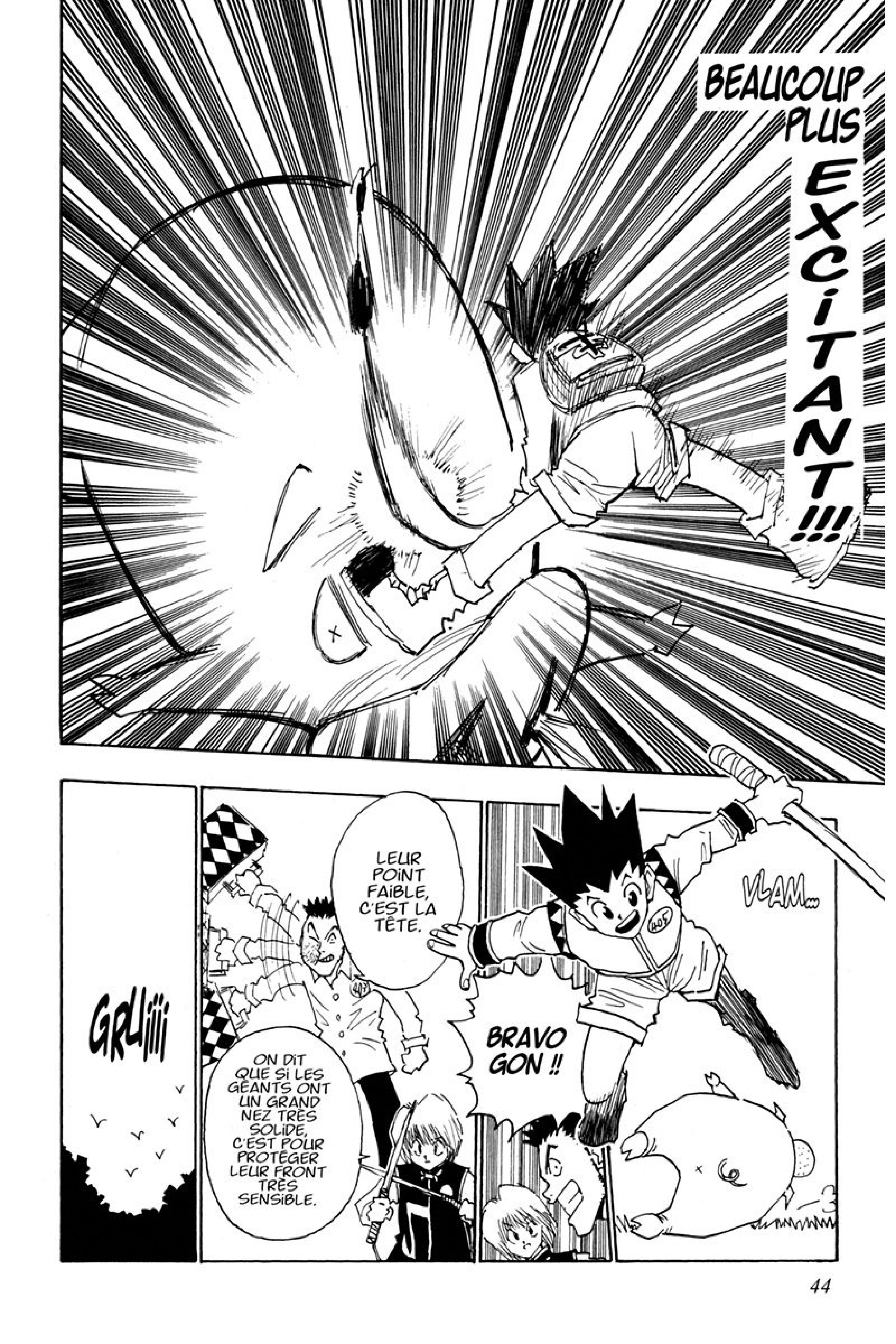 Read Hunter x Hunter FR Manga Online