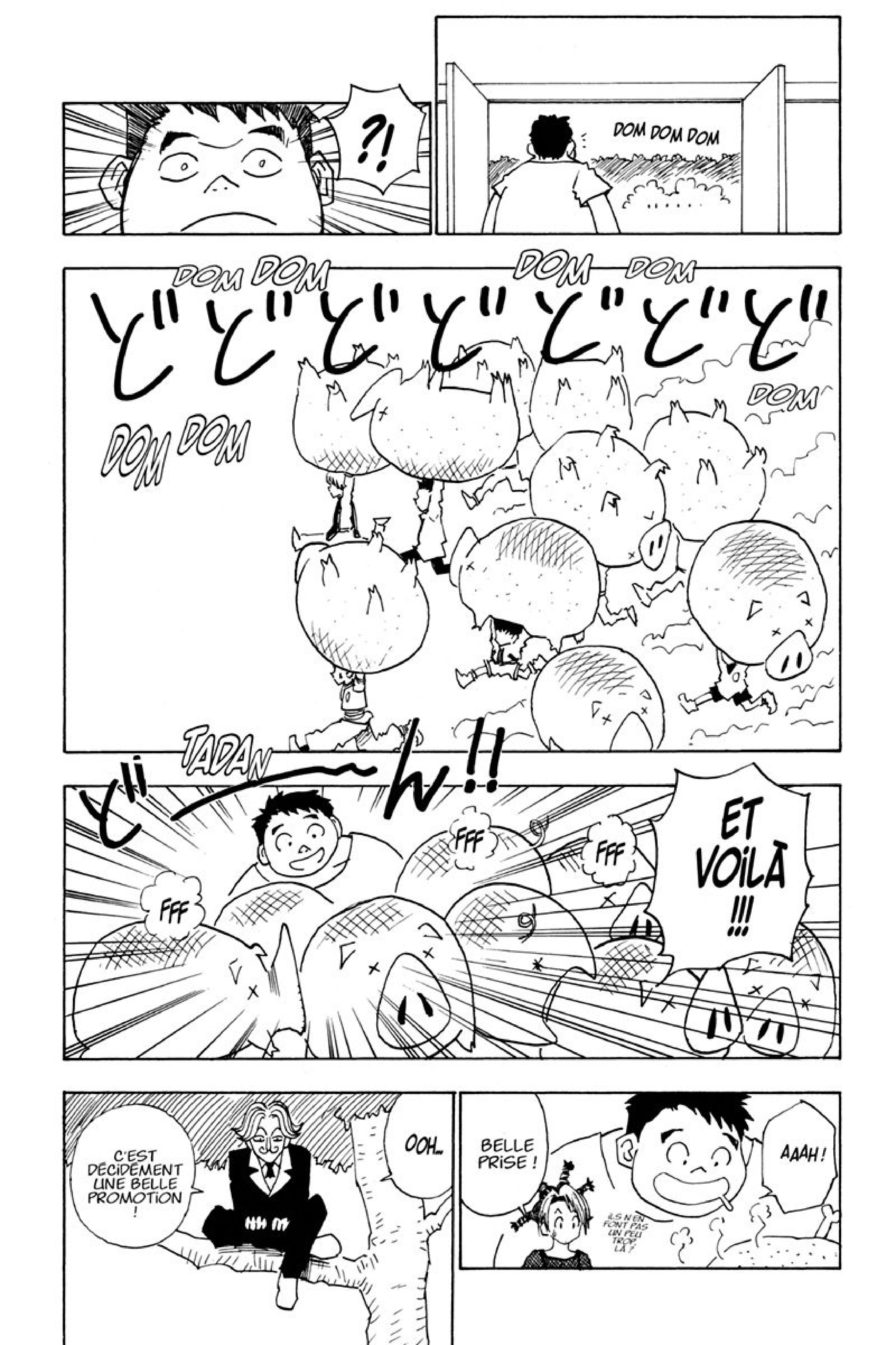 Read Hunter x Hunter FR Manga Online