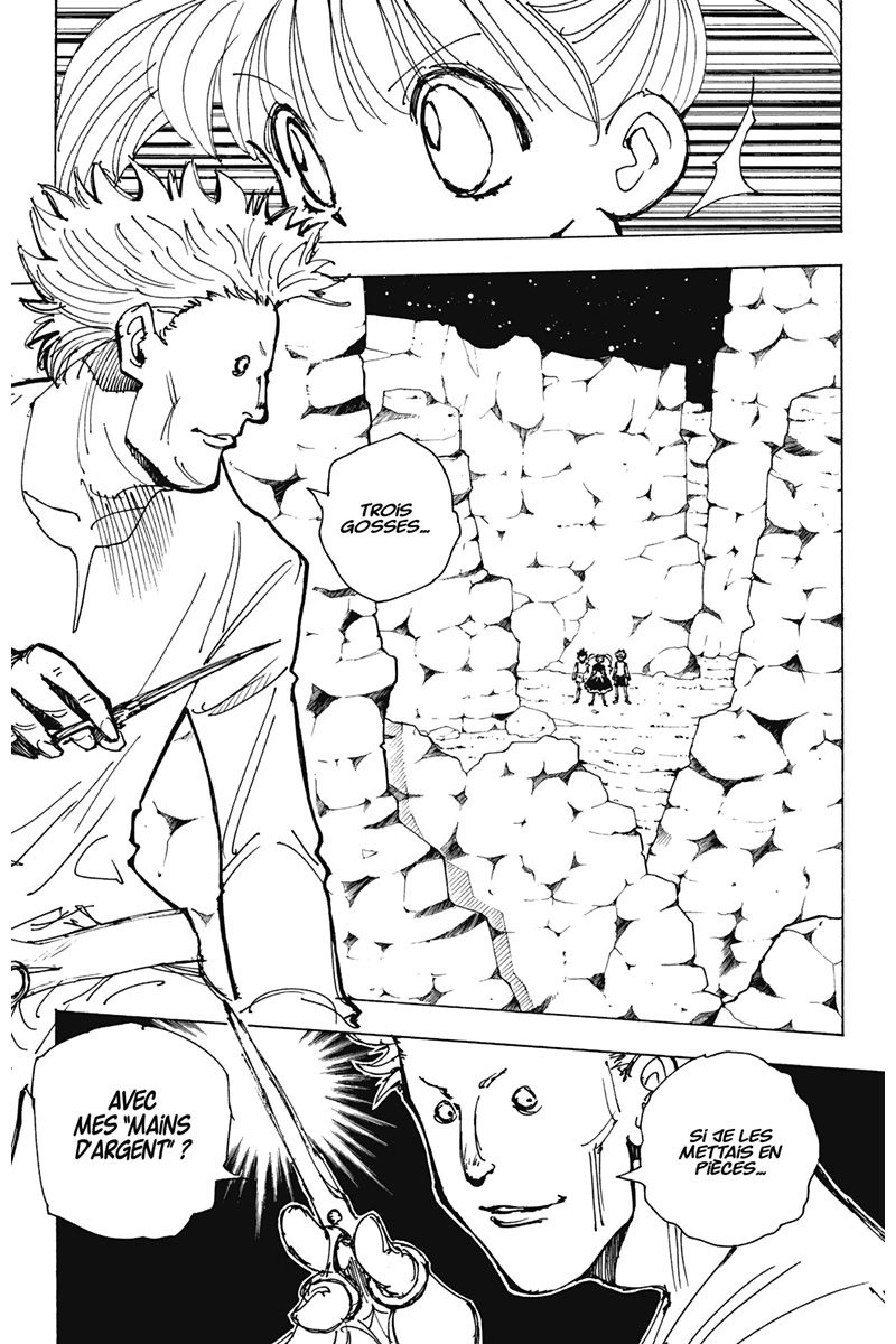 Read Hunter x Hunter FR Manga Online