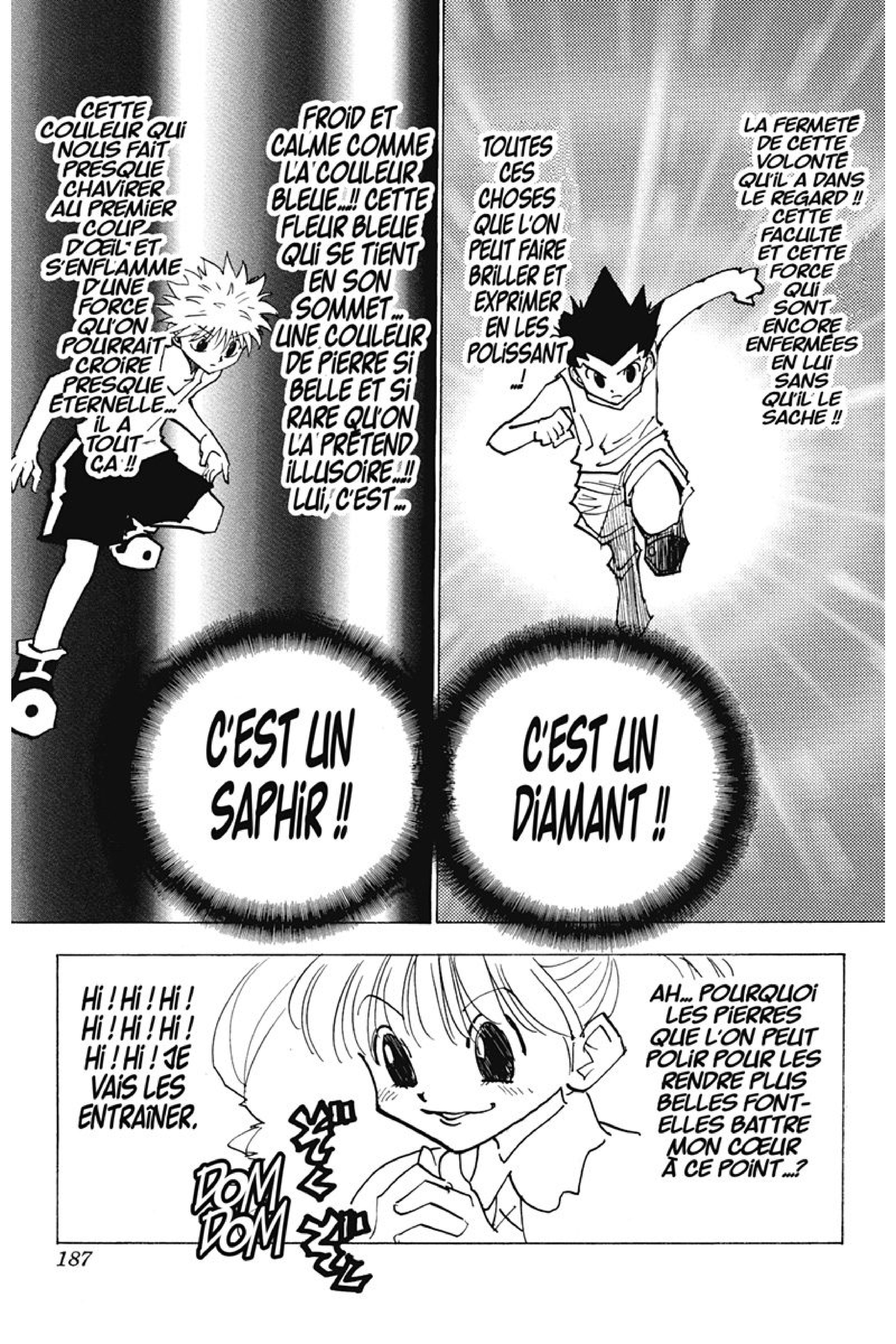 Read Hunter x Hunter FR Manga Online