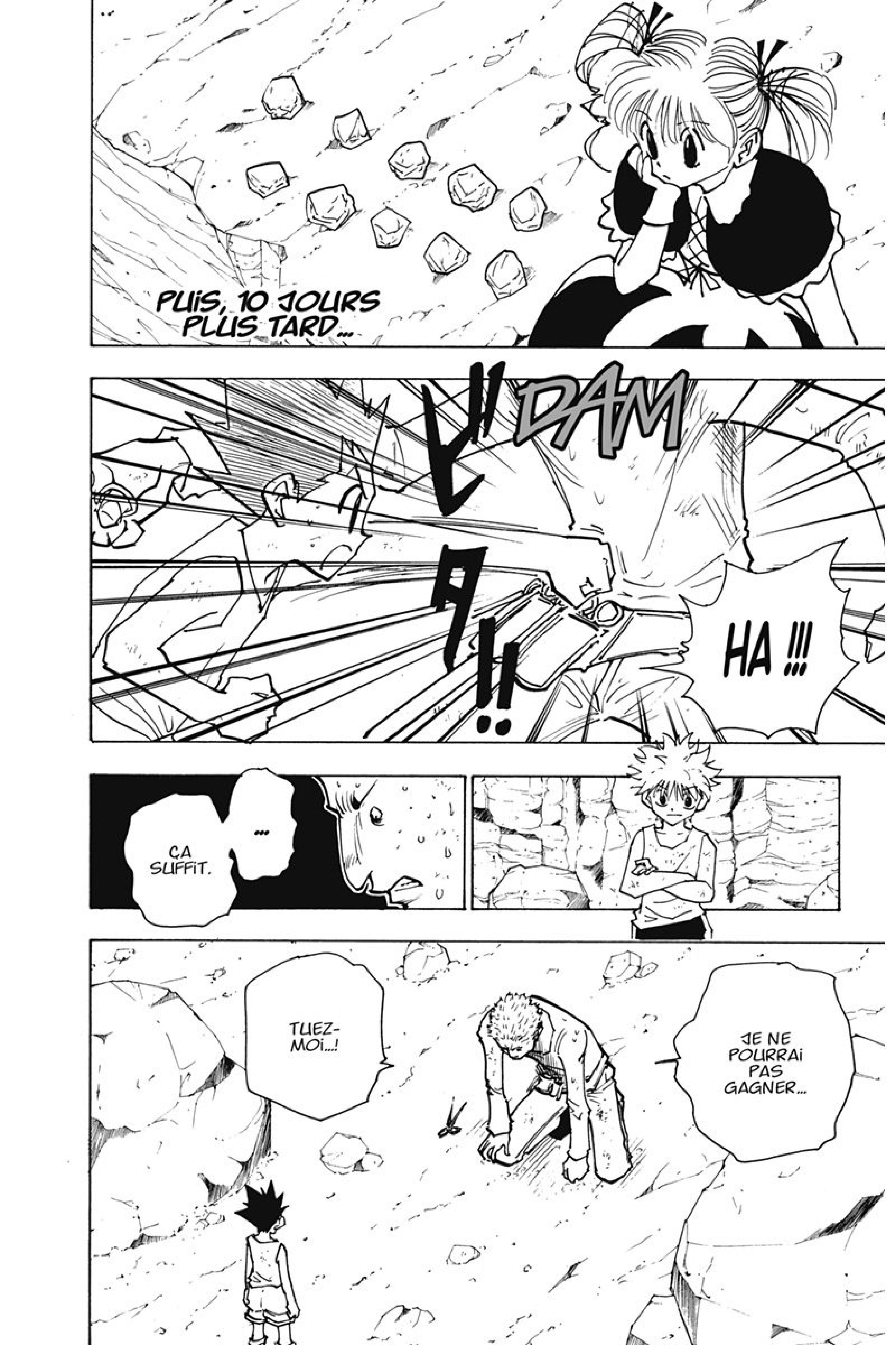 Read Hunter x Hunter FR Manga Online