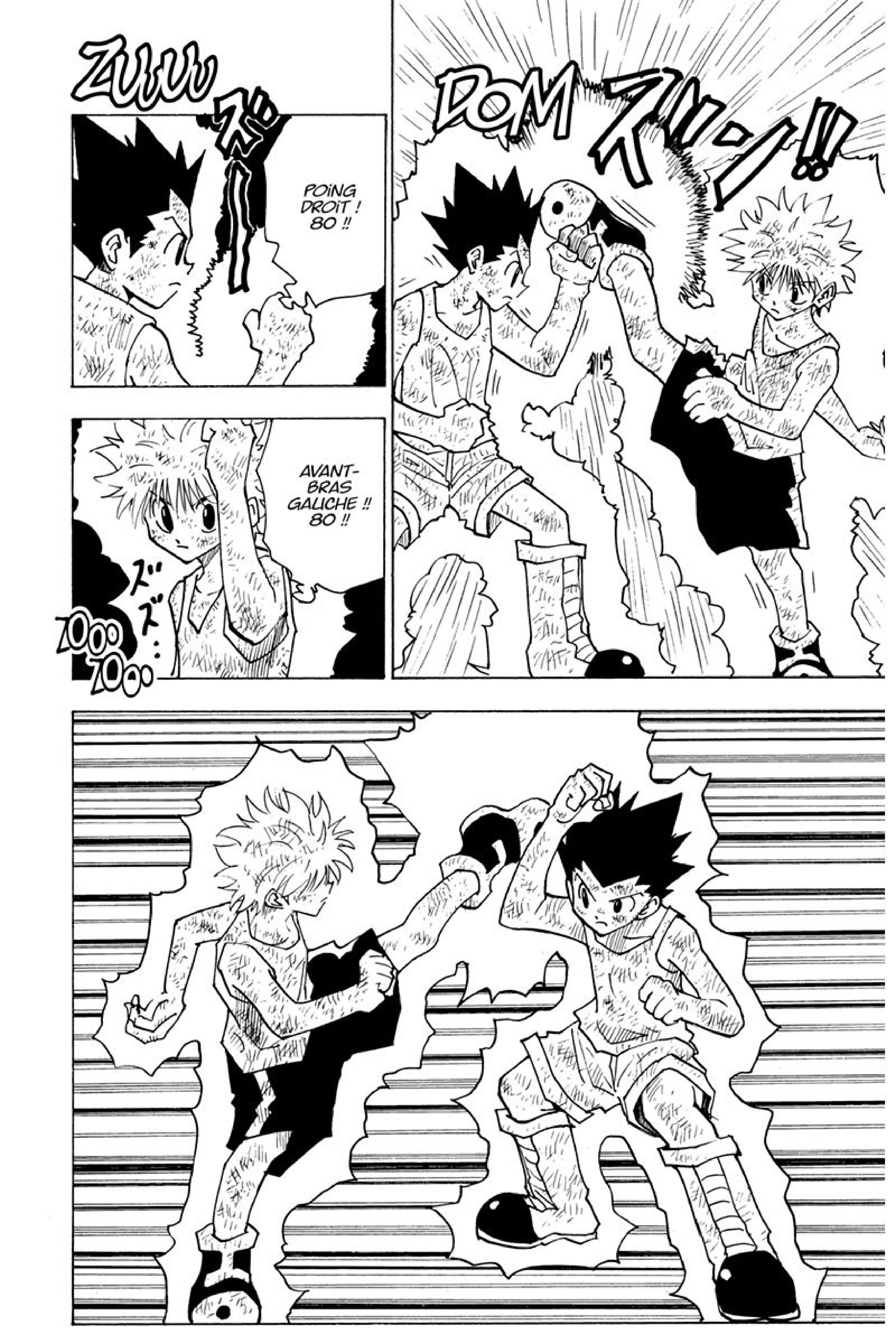 Read Hunter x Hunter FR Manga Online