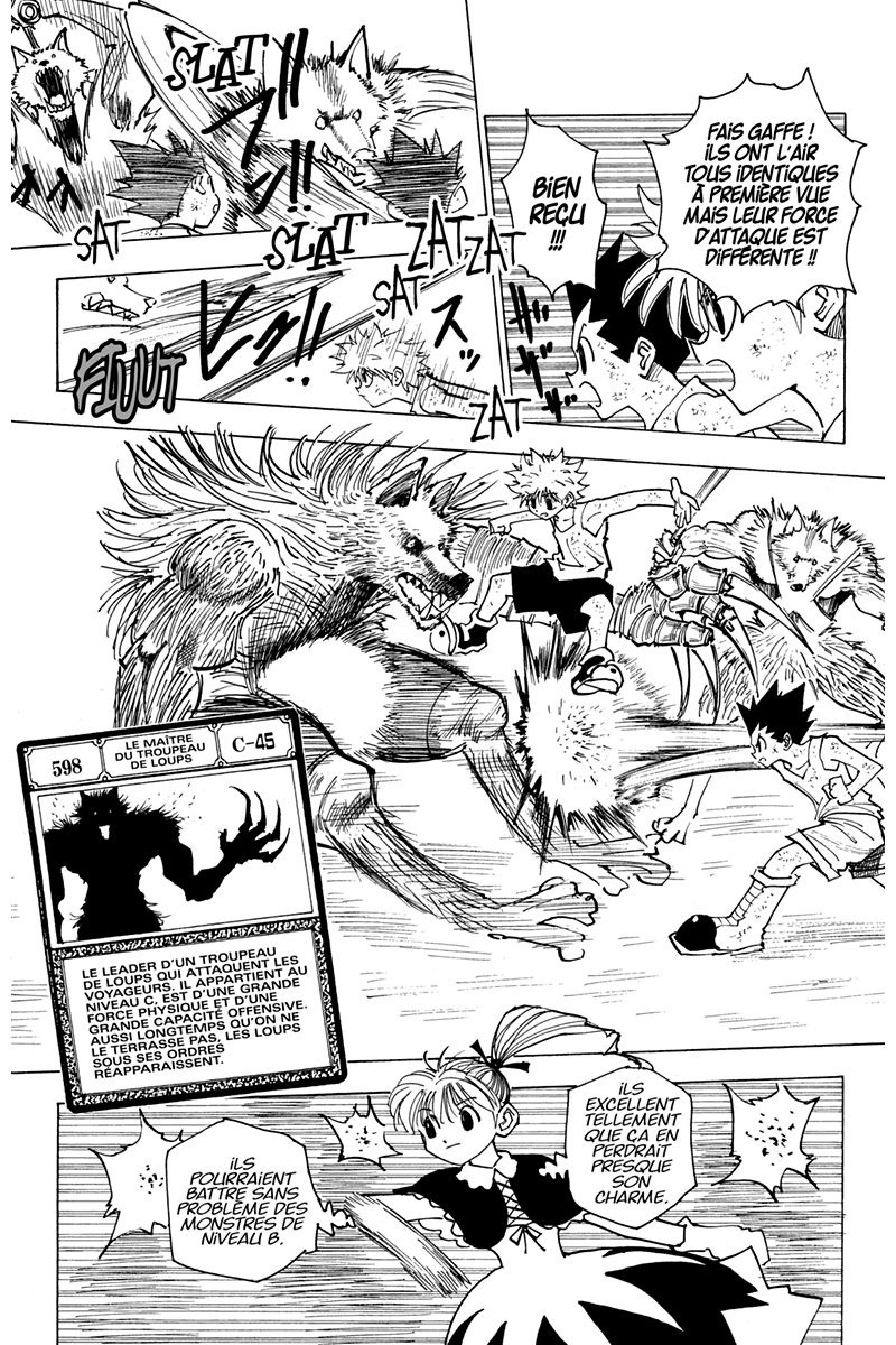 Read Hunter x Hunter FR Manga Online