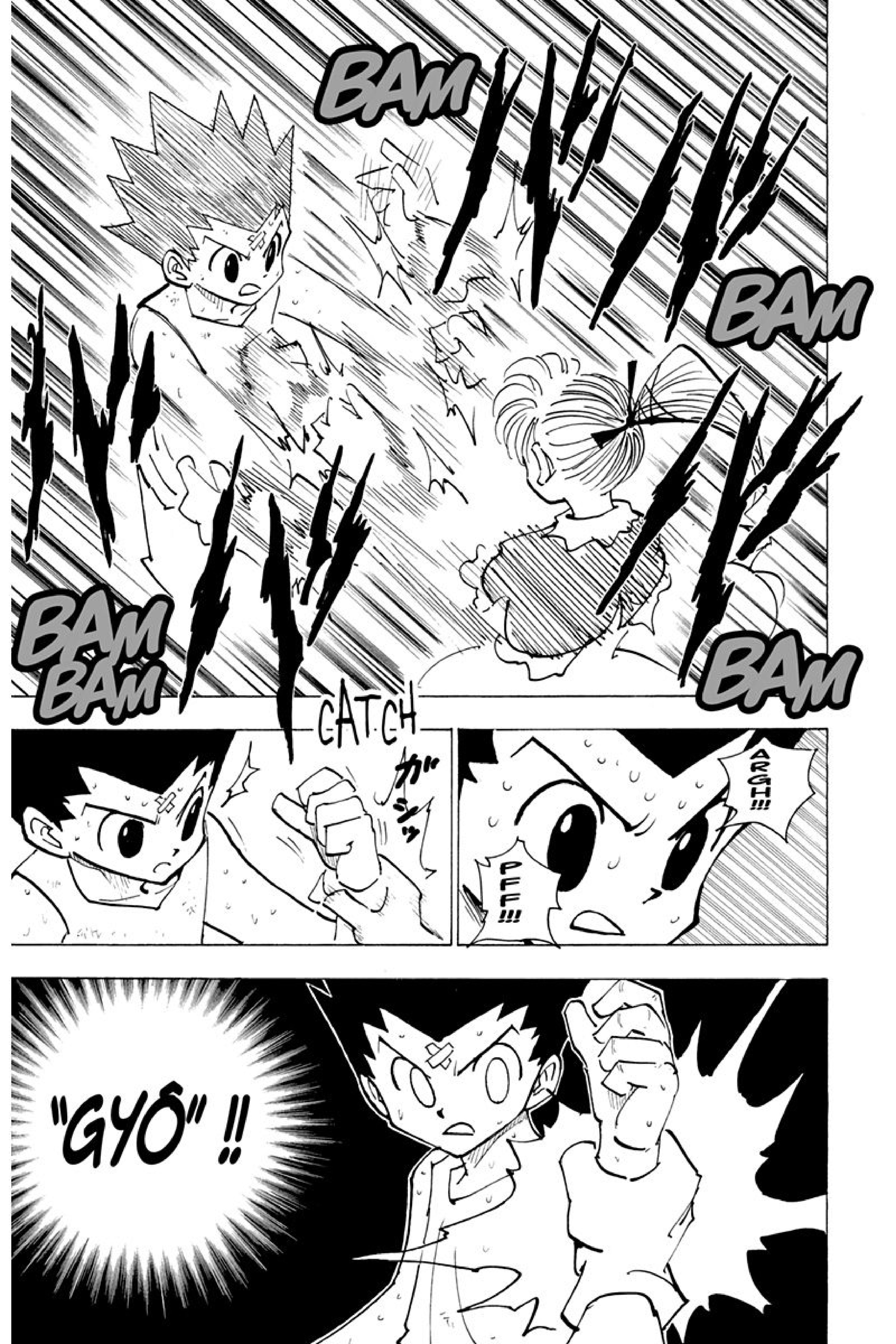 Read Hunter x Hunter FR Manga Online