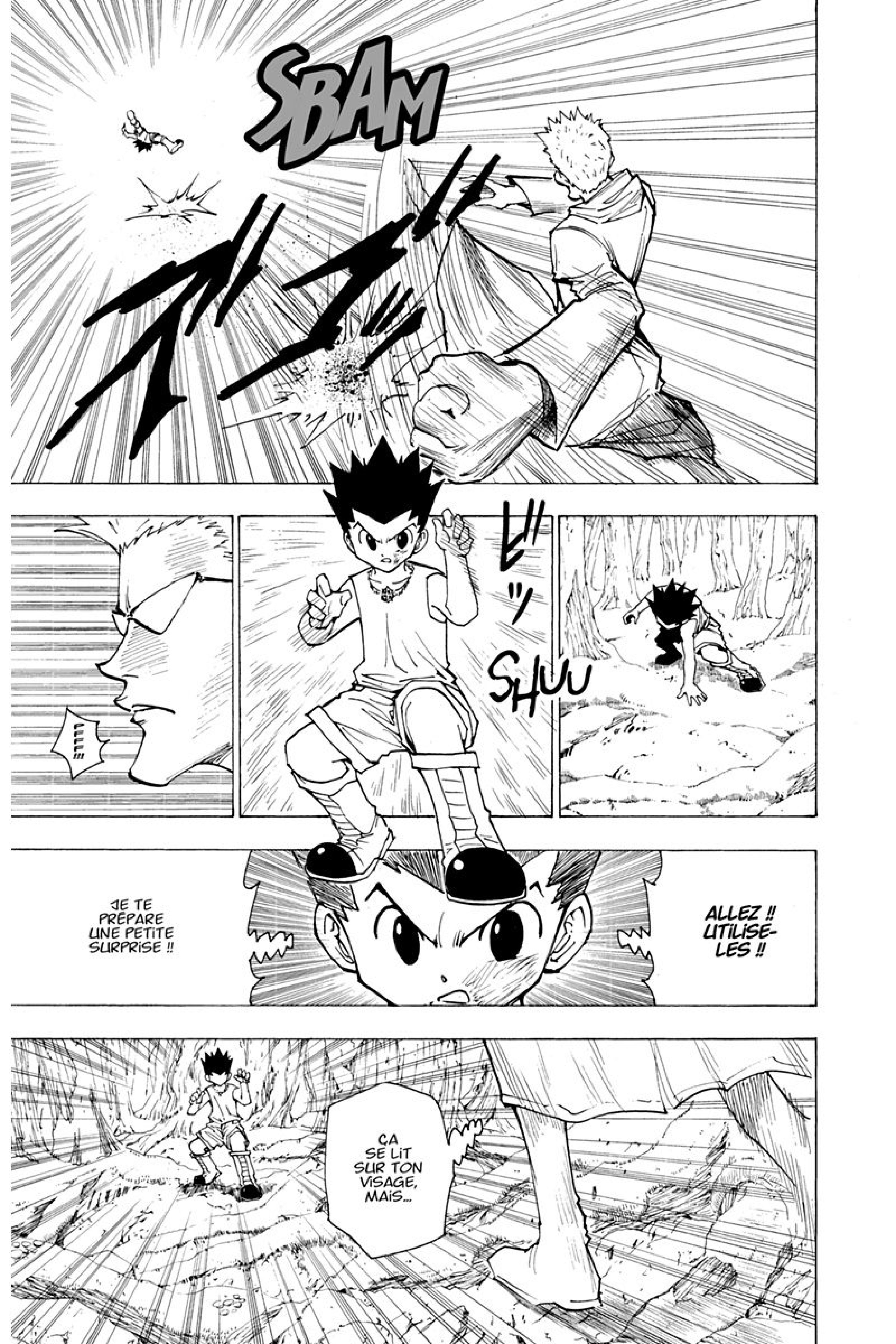 Read Hunter x Hunter FR Manga Online