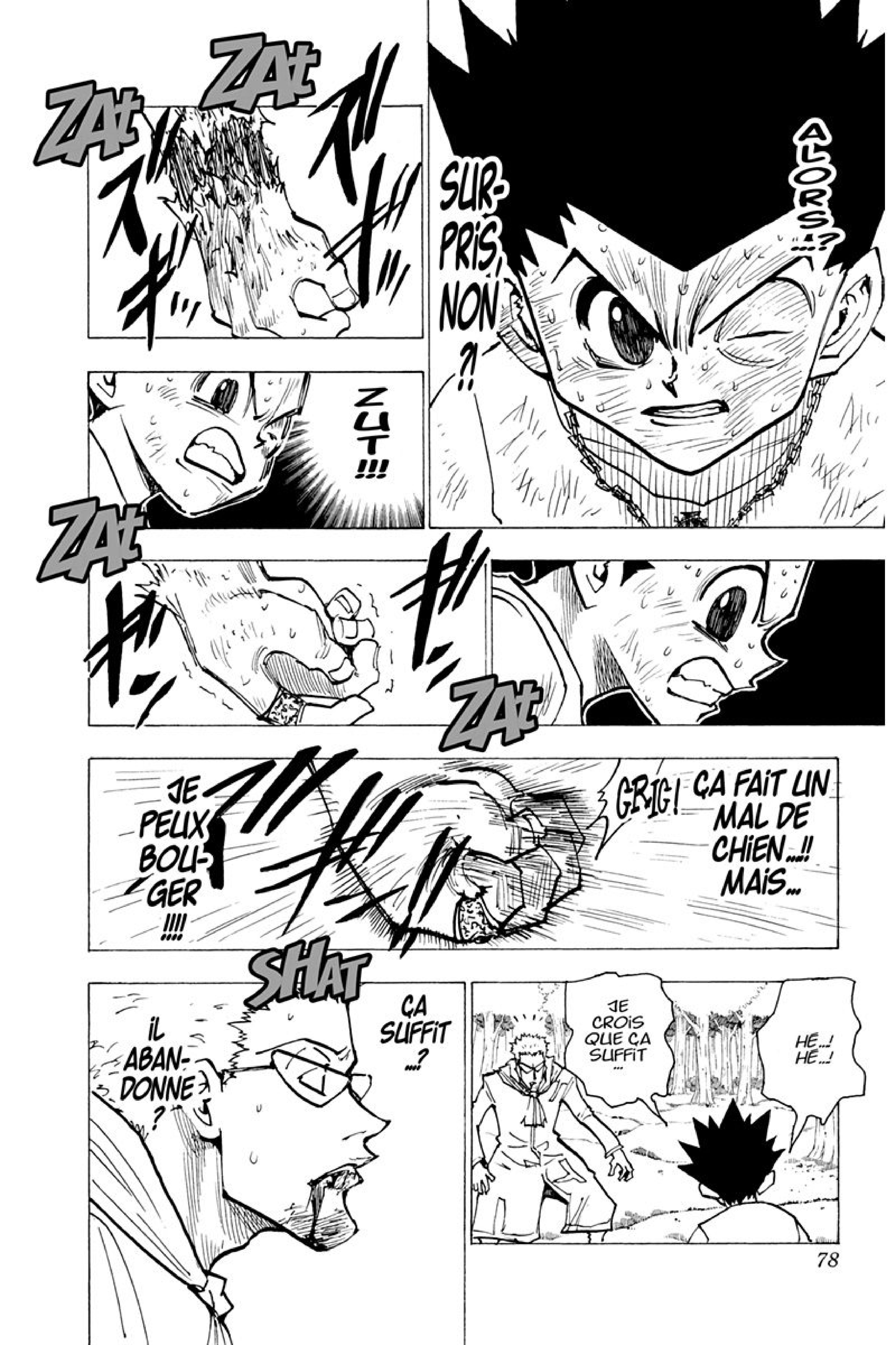 Read Hunter x Hunter FR Manga Online
