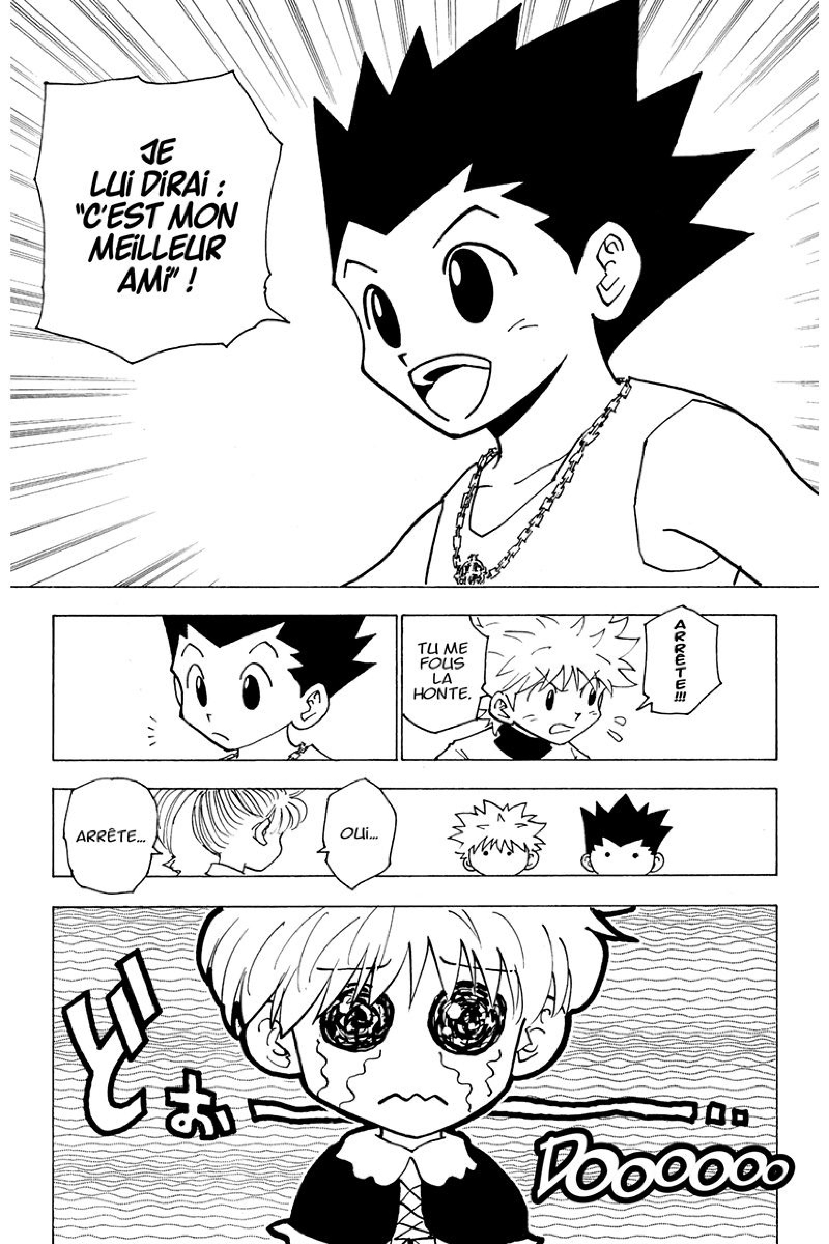 Read Hunter x Hunter FR Manga Online
