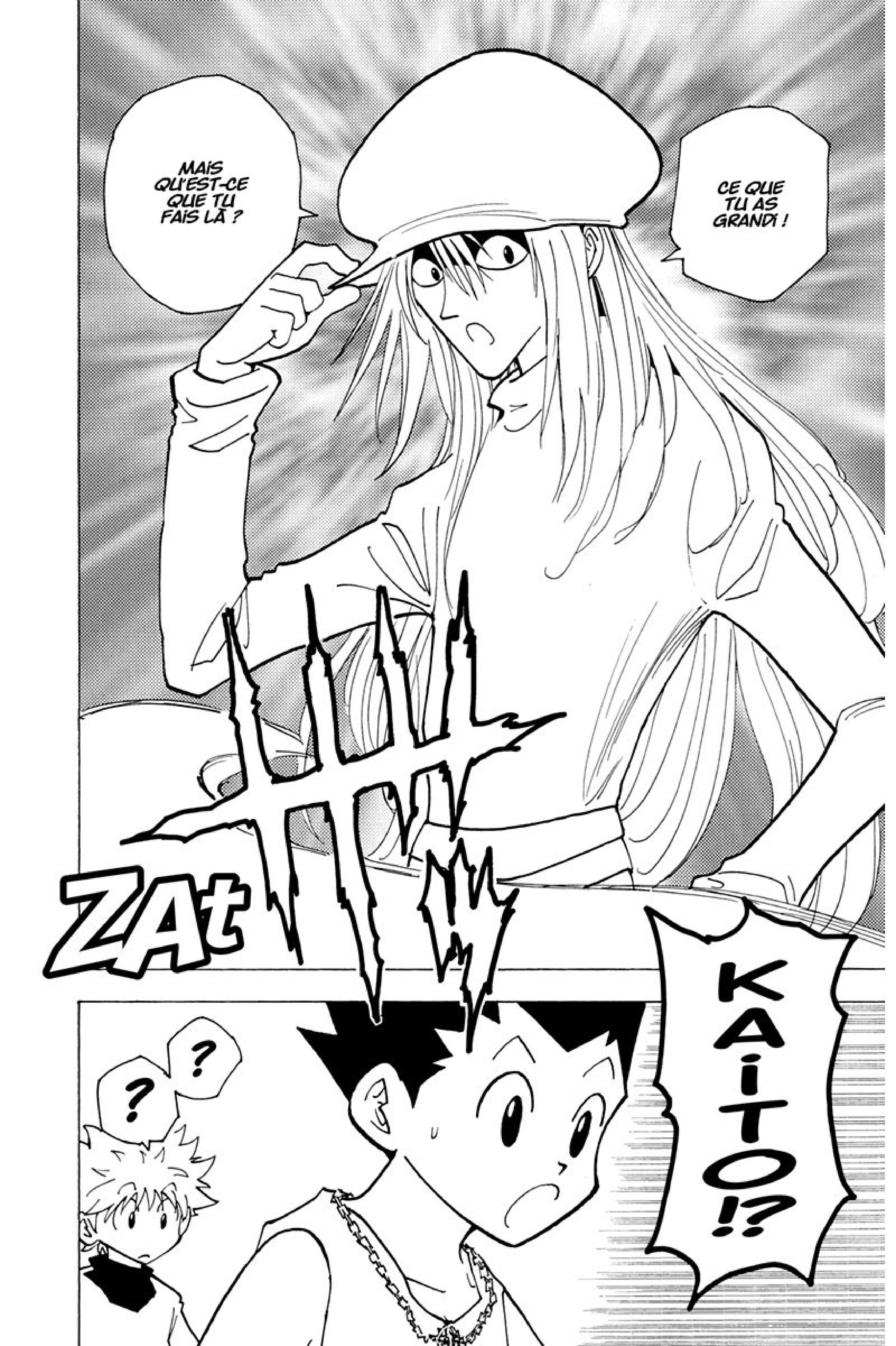 Read Hunter x Hunter FR Manga Online