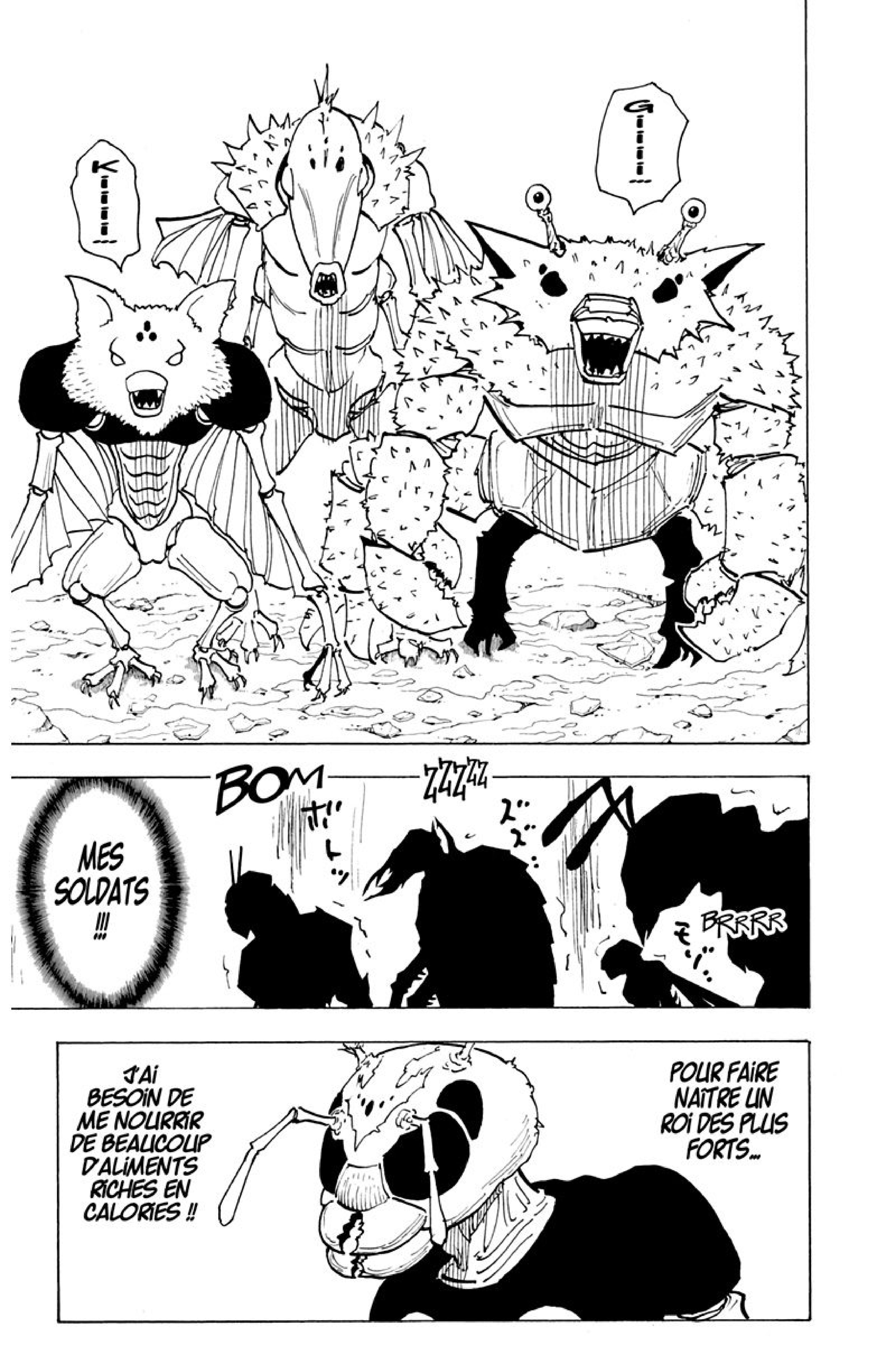 Read Hunter x Hunter FR Manga Online
