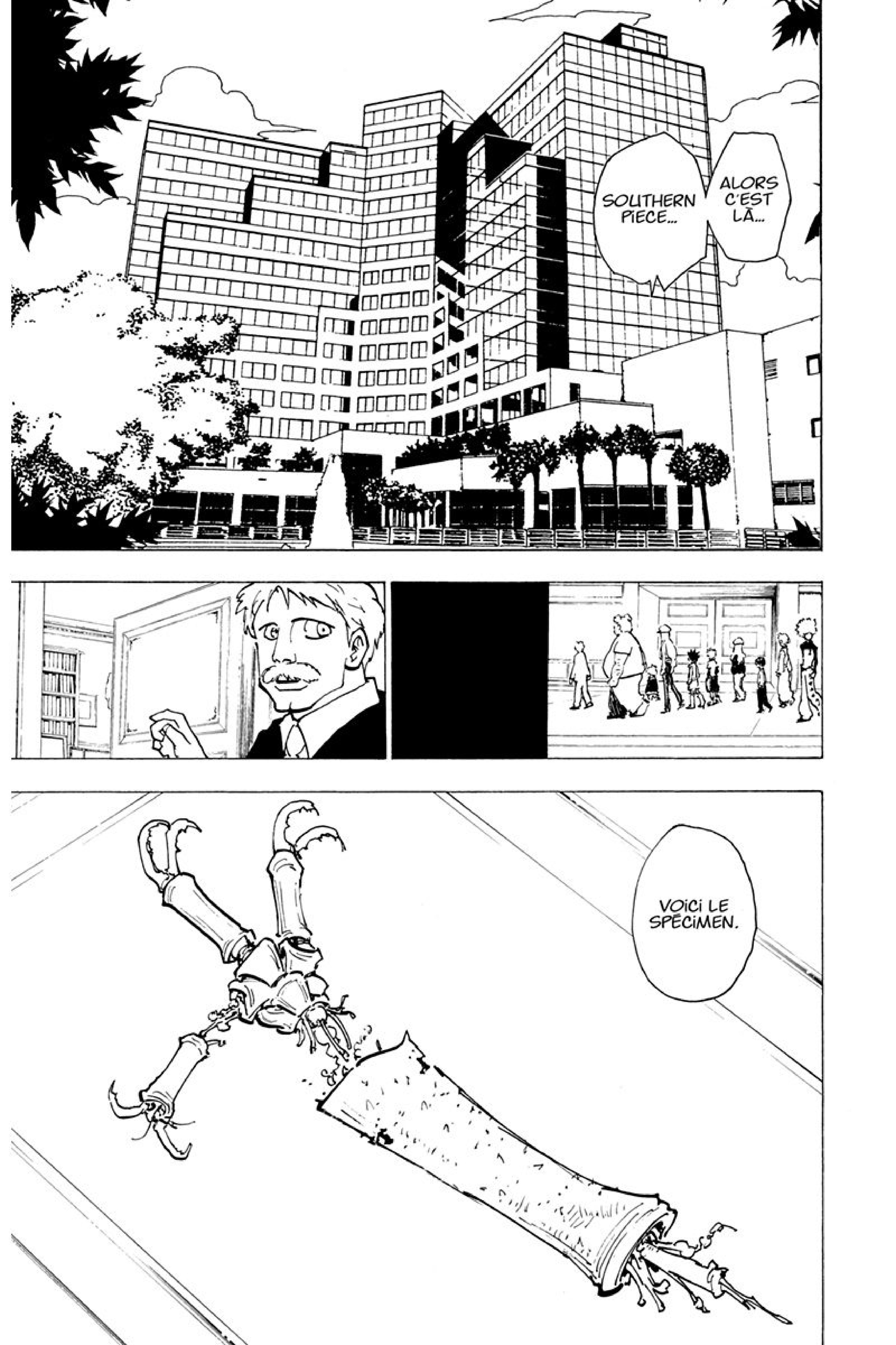 Read Hunter x Hunter FR Manga Online