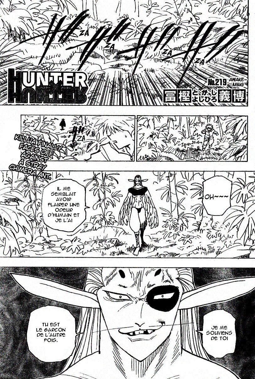Read Hunter x Hunter FR Manga Online