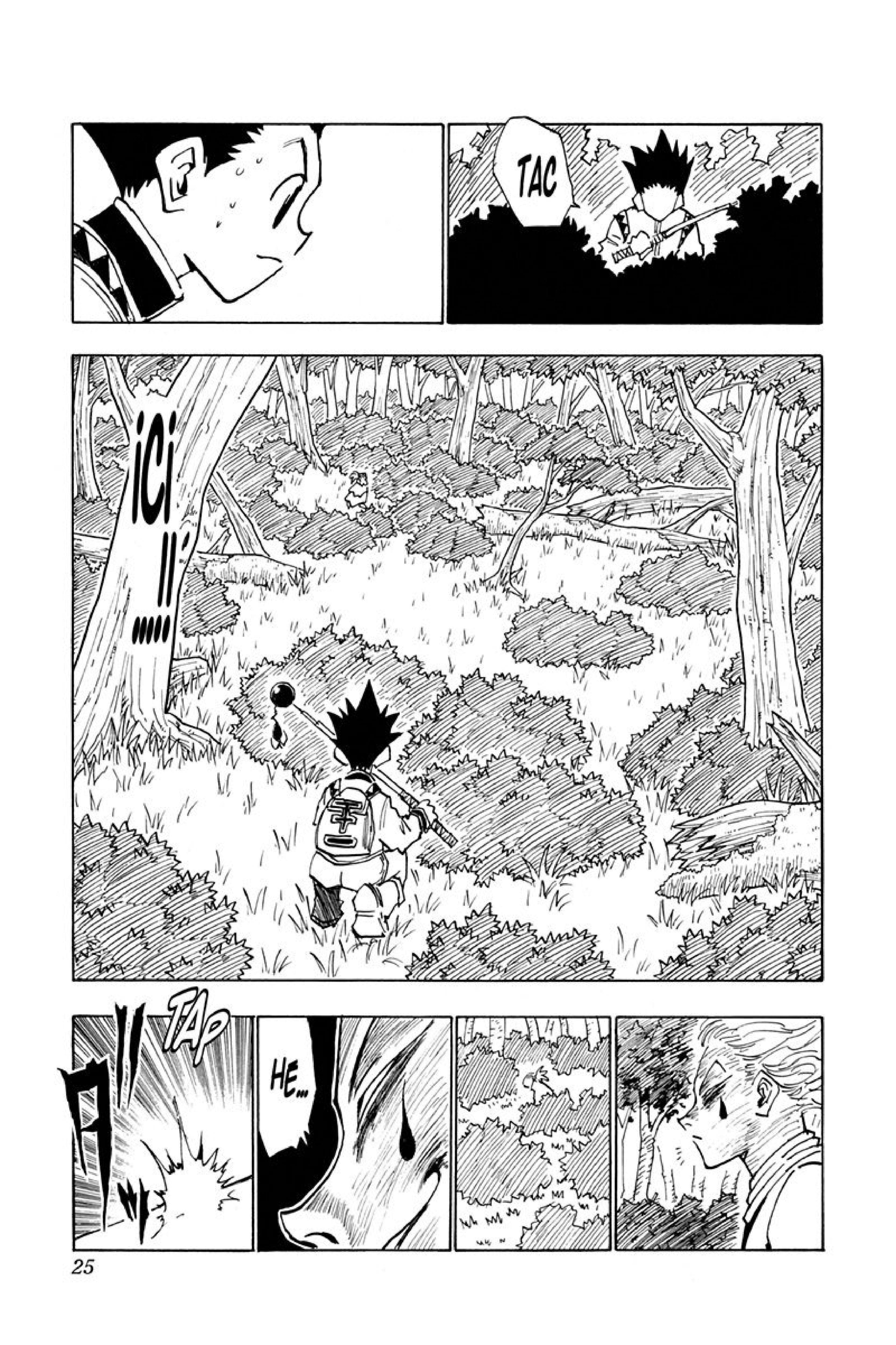 Read Hunter x Hunter FR Manga Online