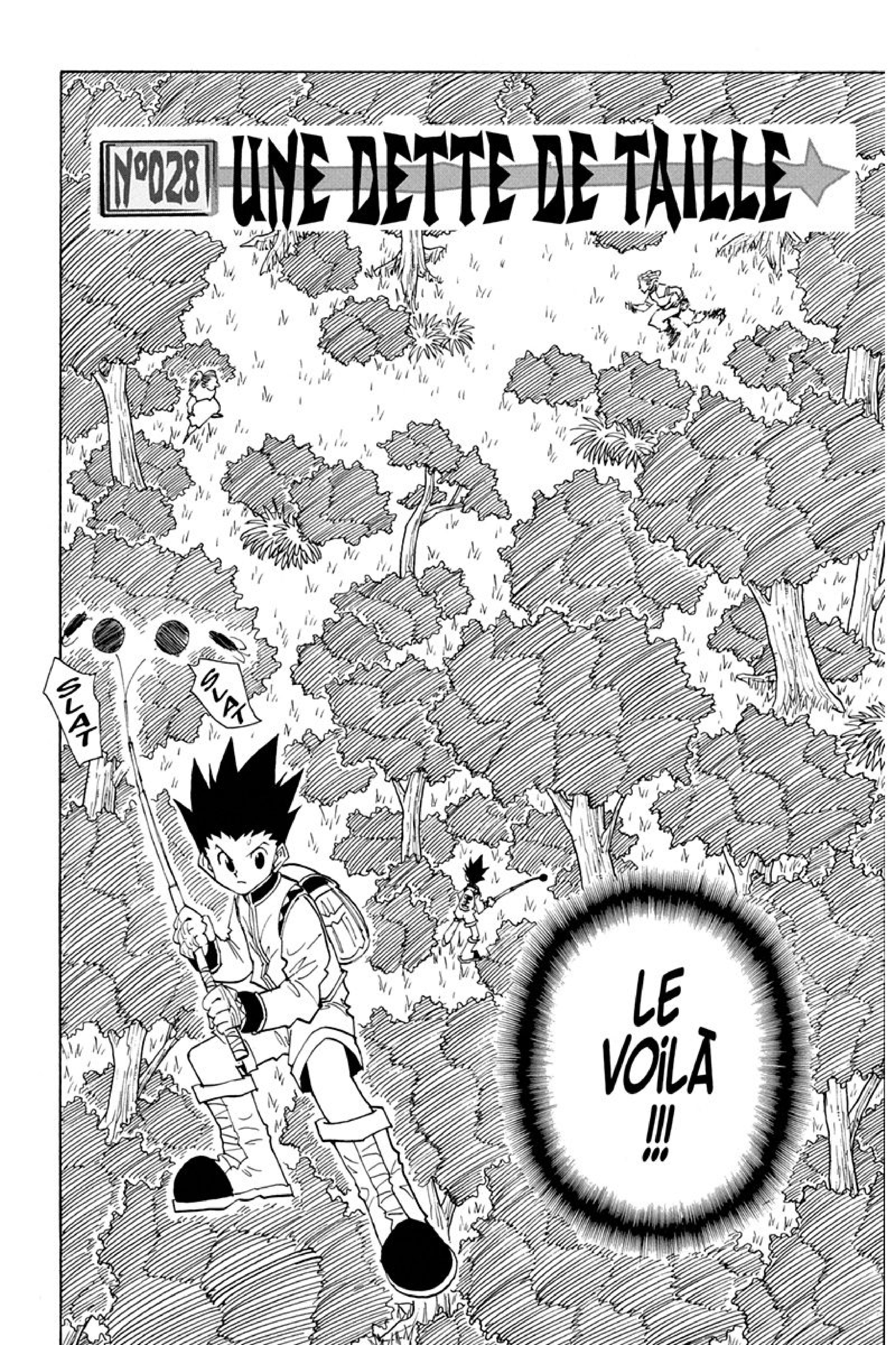 Read Hunter x Hunter FR Manga Online