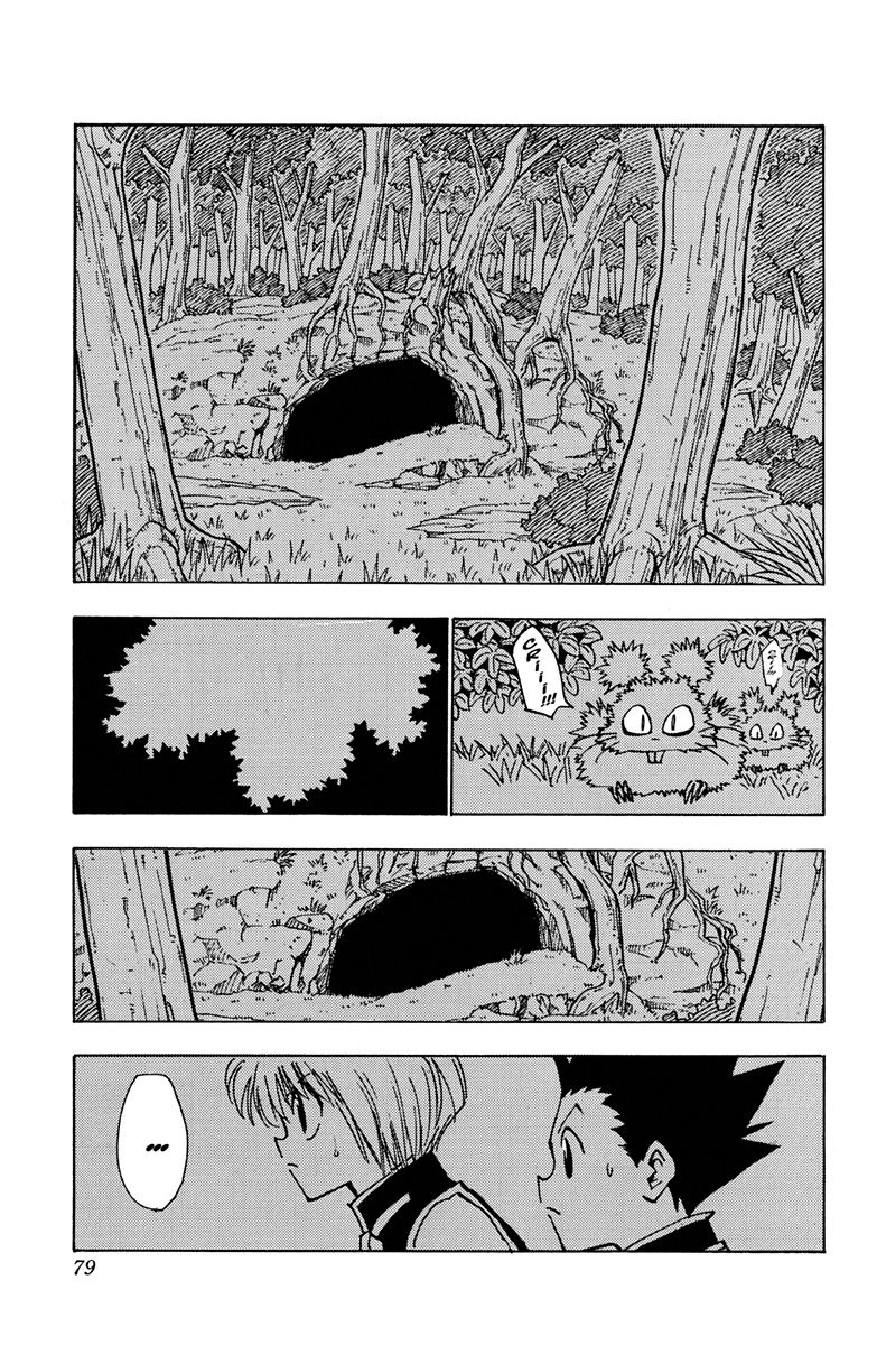 Read Hunter x Hunter FR Manga Online