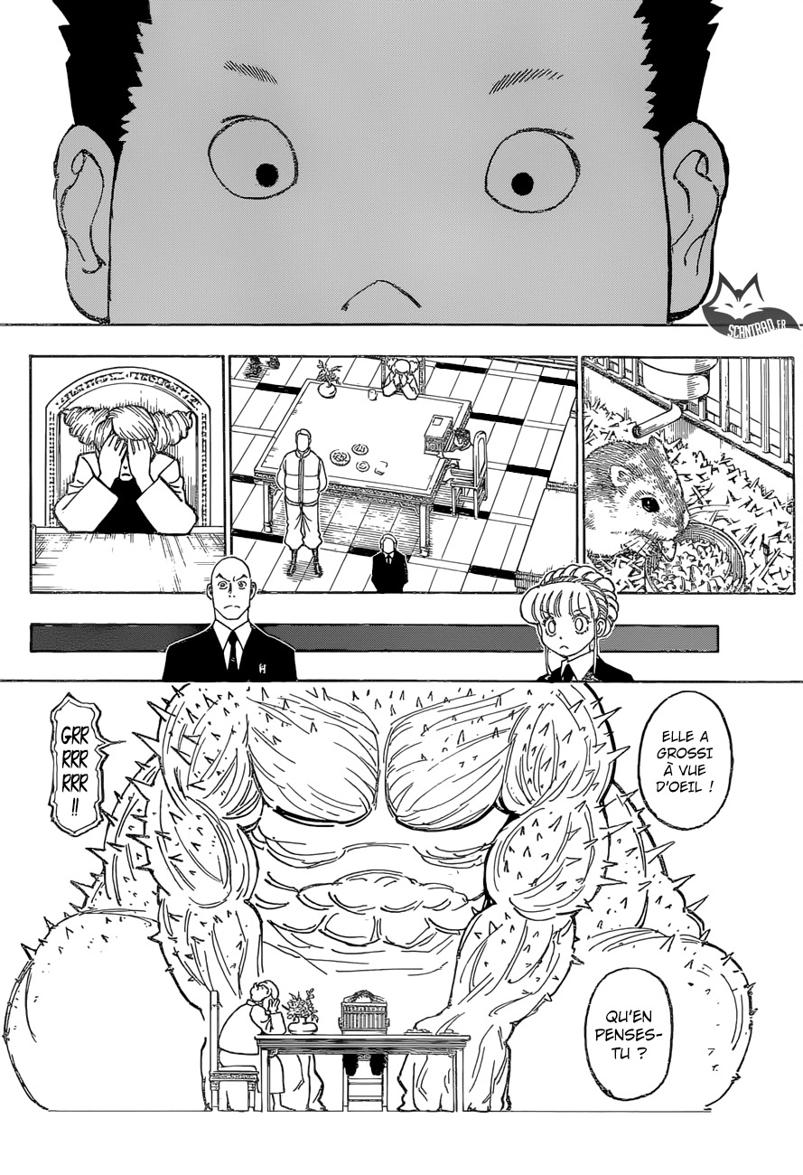 Read Hunter x Hunter FR Manga Online