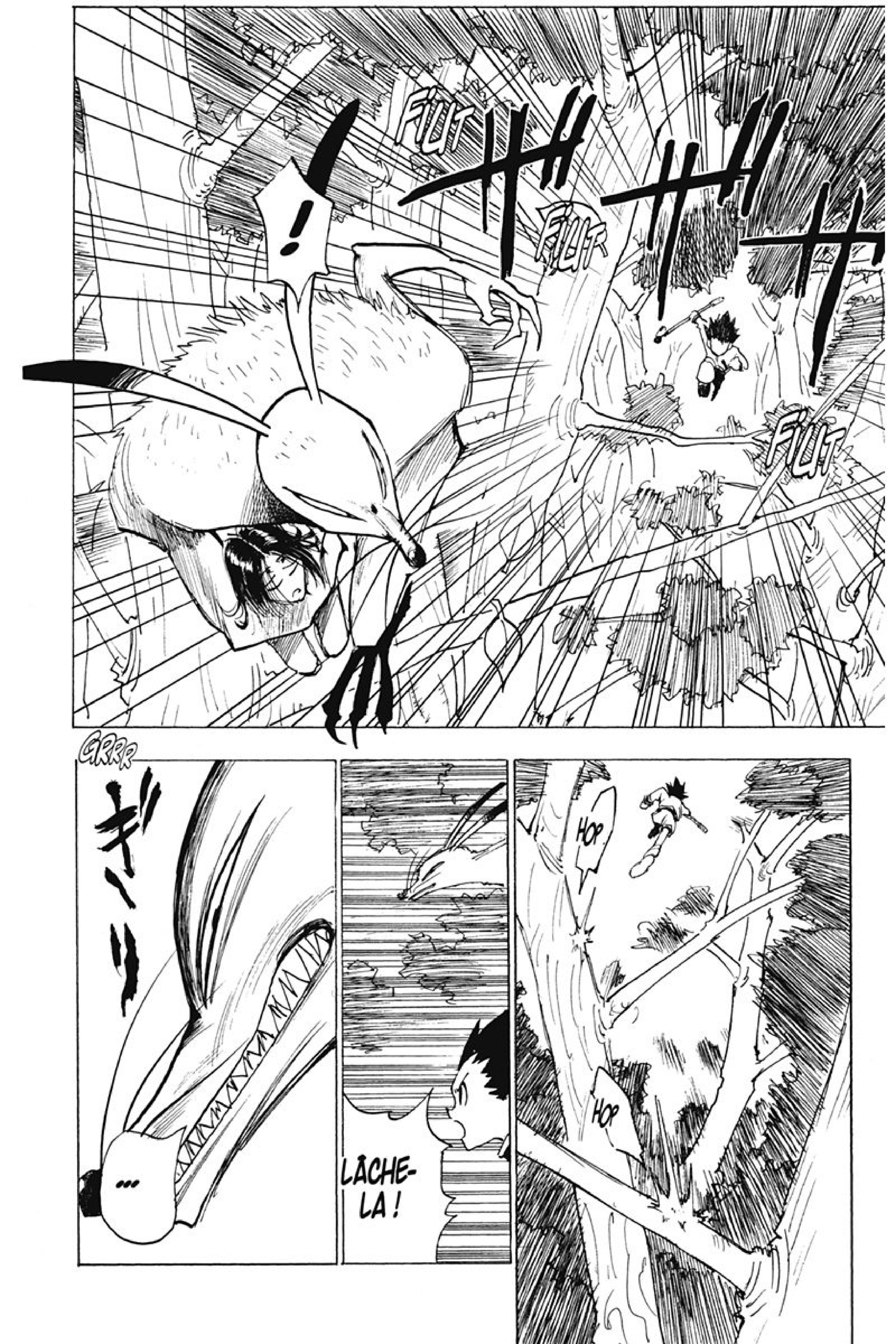 Read Hunter x Hunter FR Manga Online