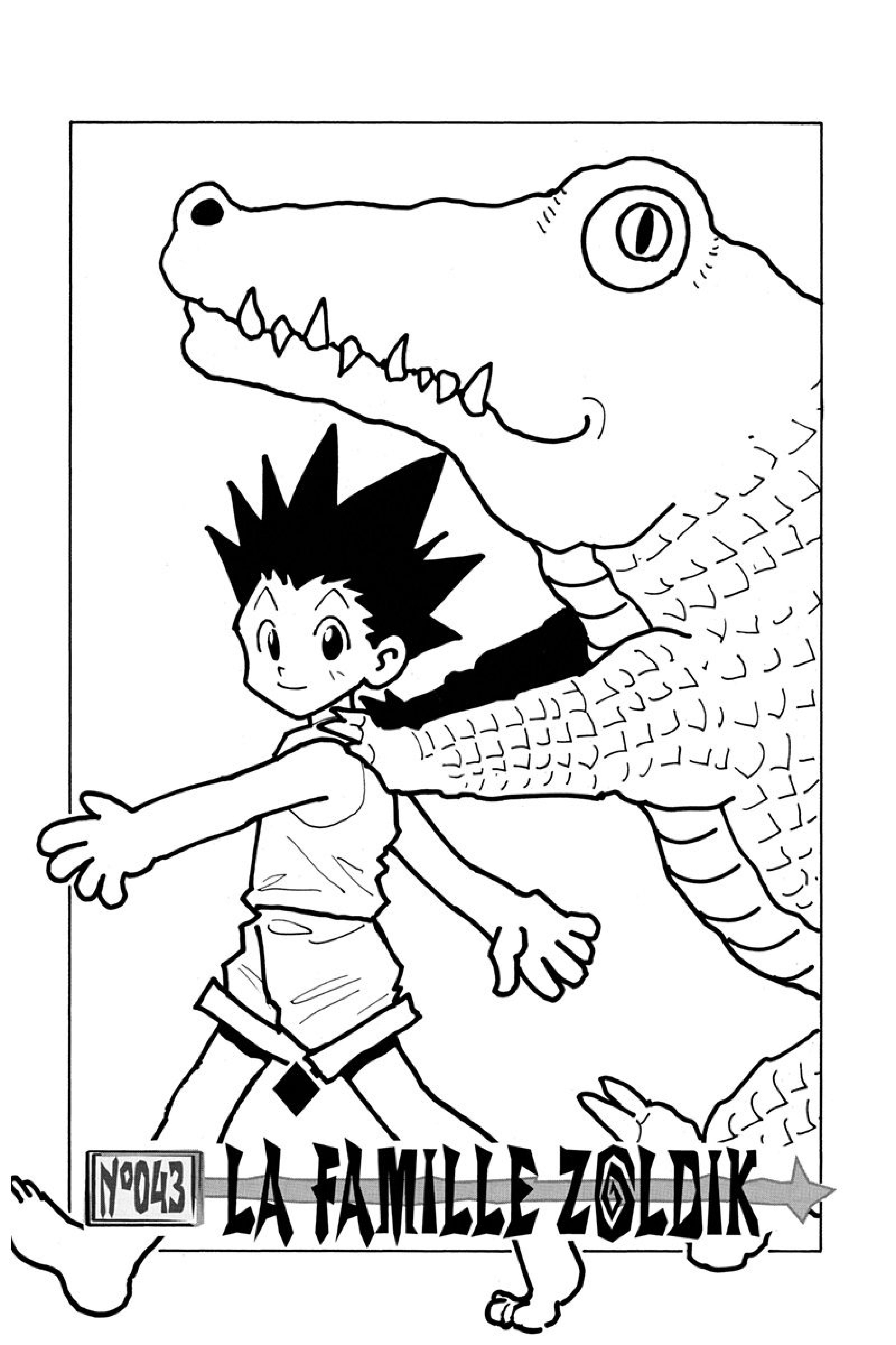 Read Hunter x Hunter FR Manga Online