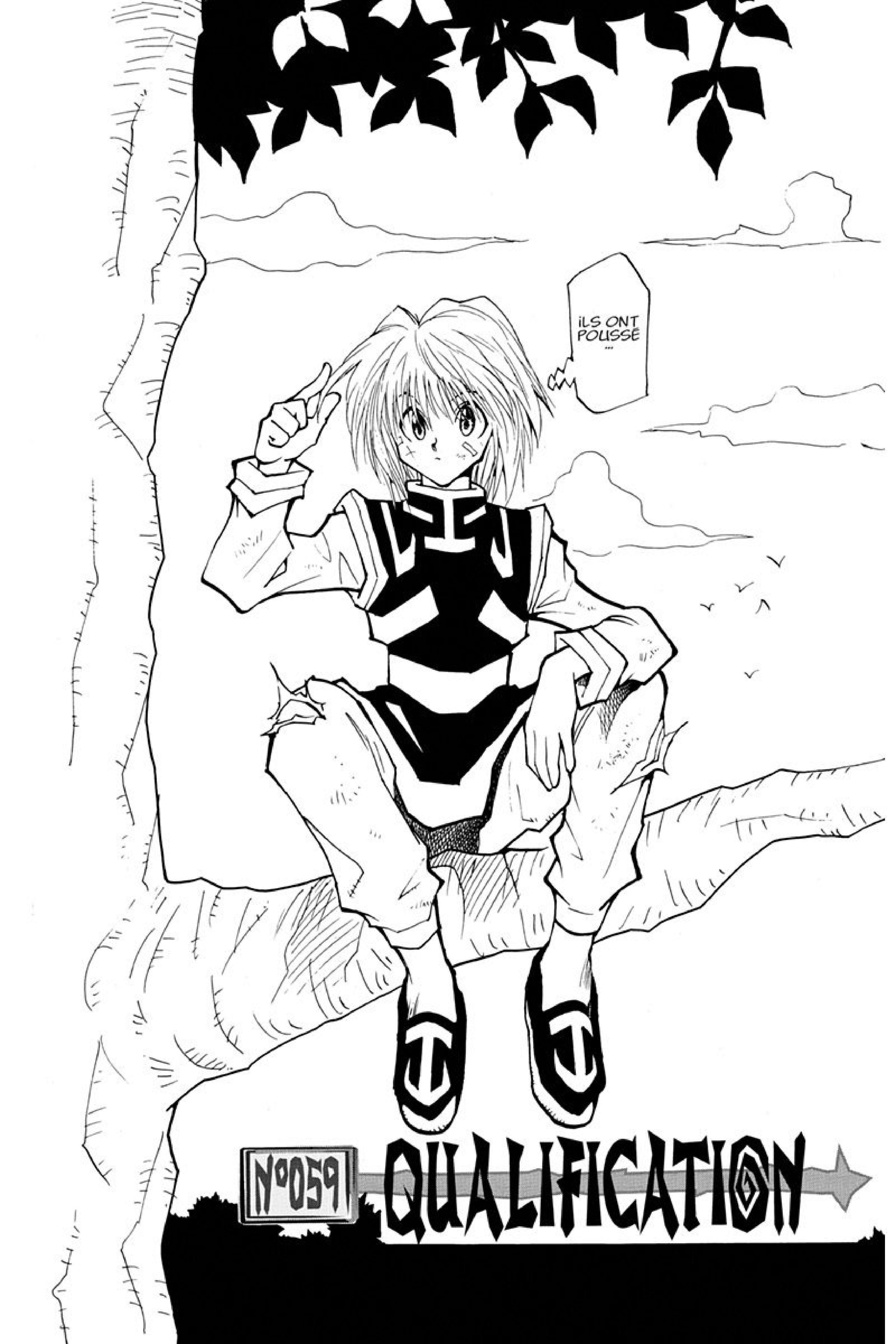 Read Hunter x Hunter FR Manga Online
